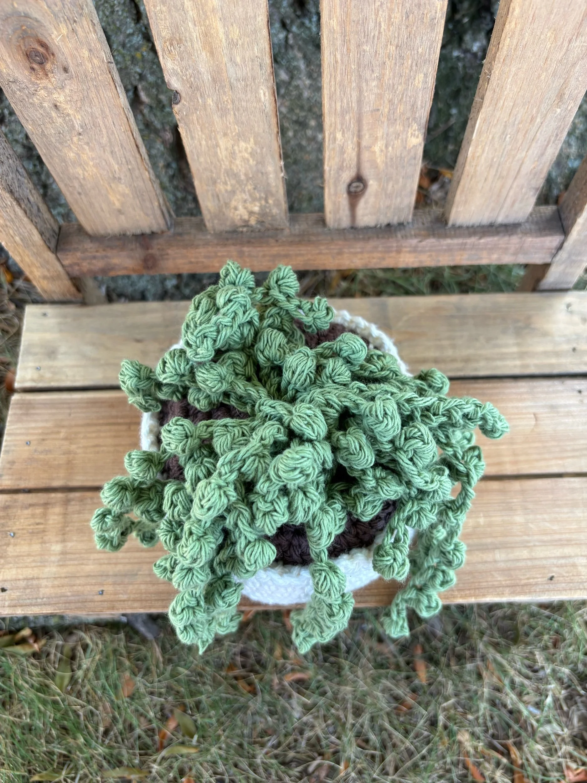 Top-down view of crochet String of Pearls plant