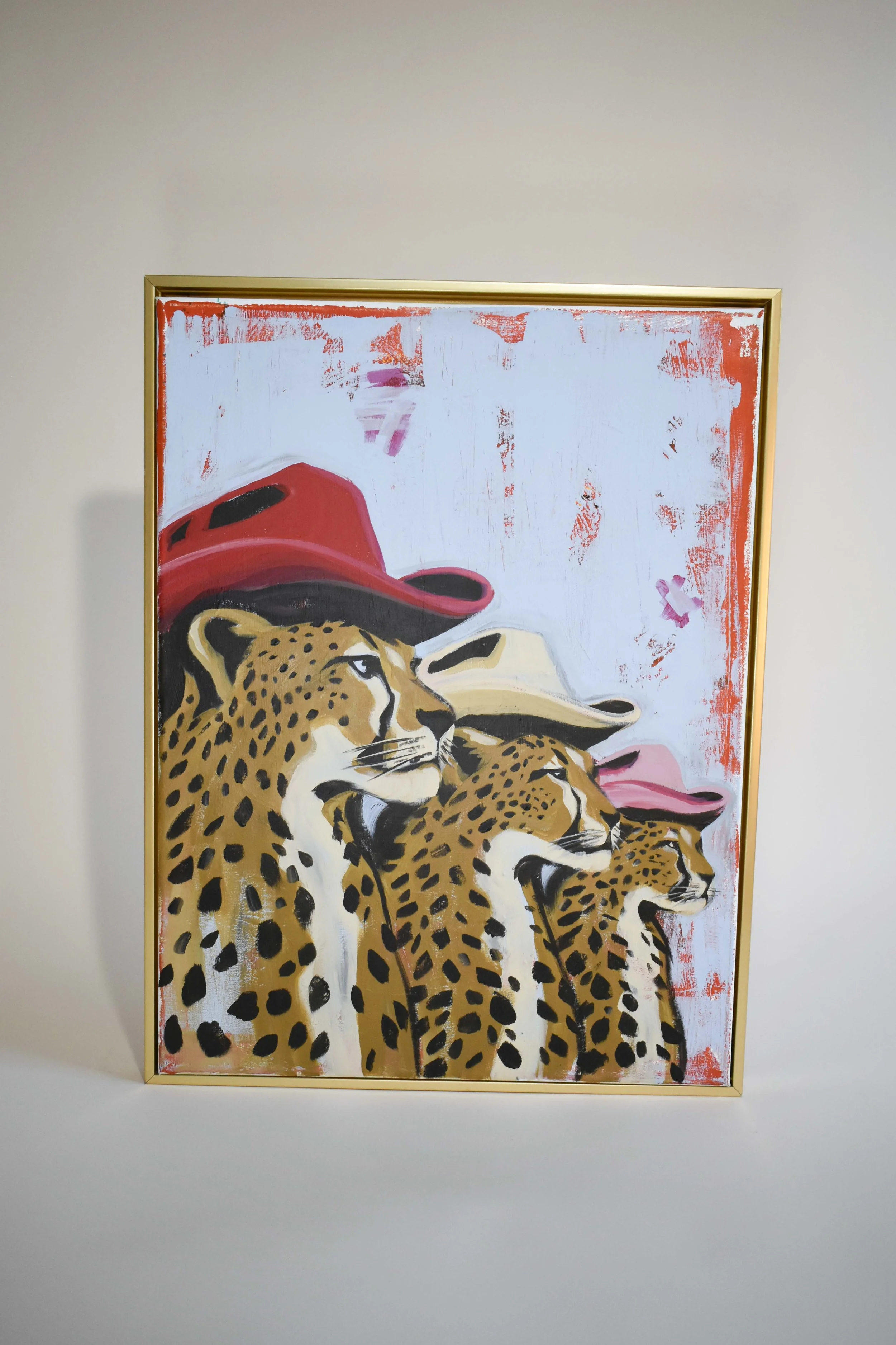 Wrangling Cheetahs