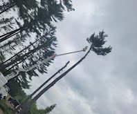 IMG_2495.jpeg