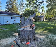 IMG_2491.jpeg