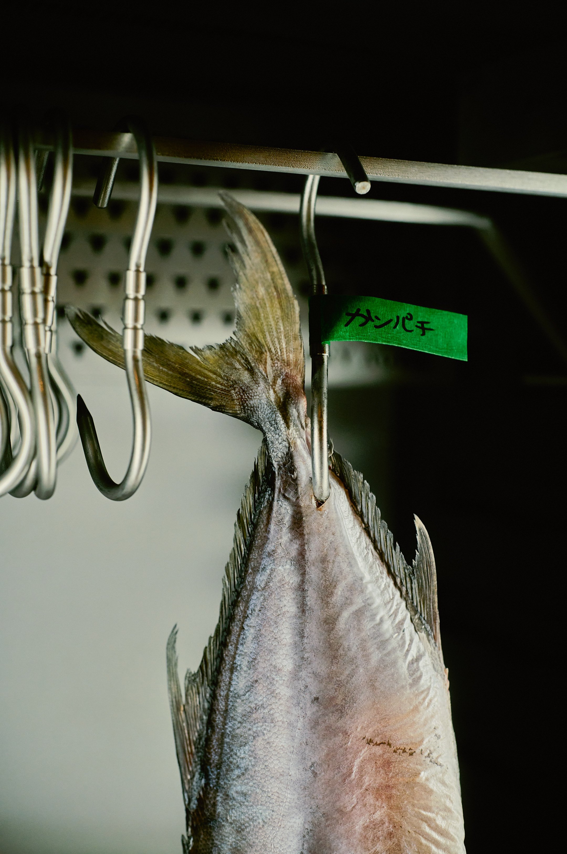 M110223621-11-25FDxBlakePope (1).jpg