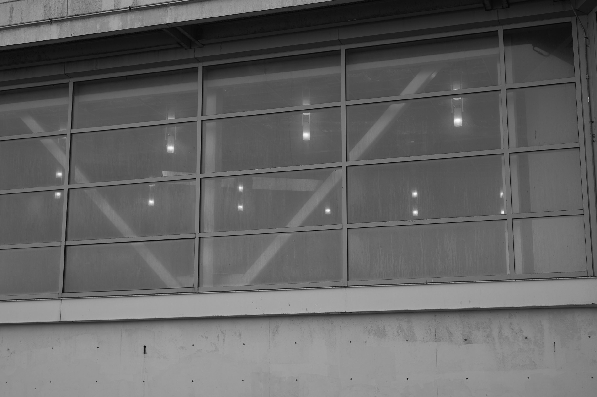 L1009245.jpg