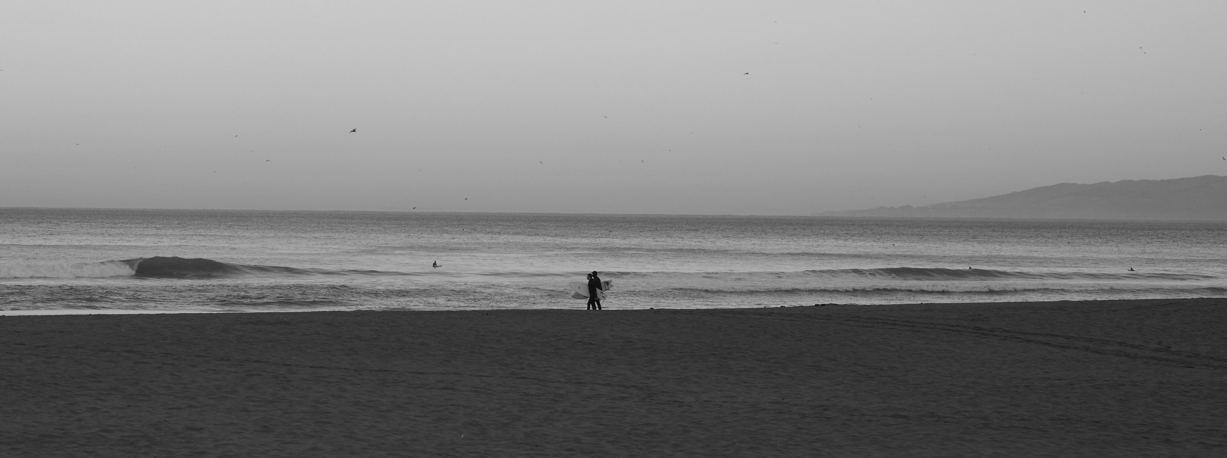 L1009213.jpg