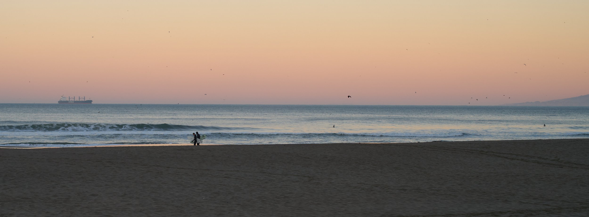 L1009214.jpg