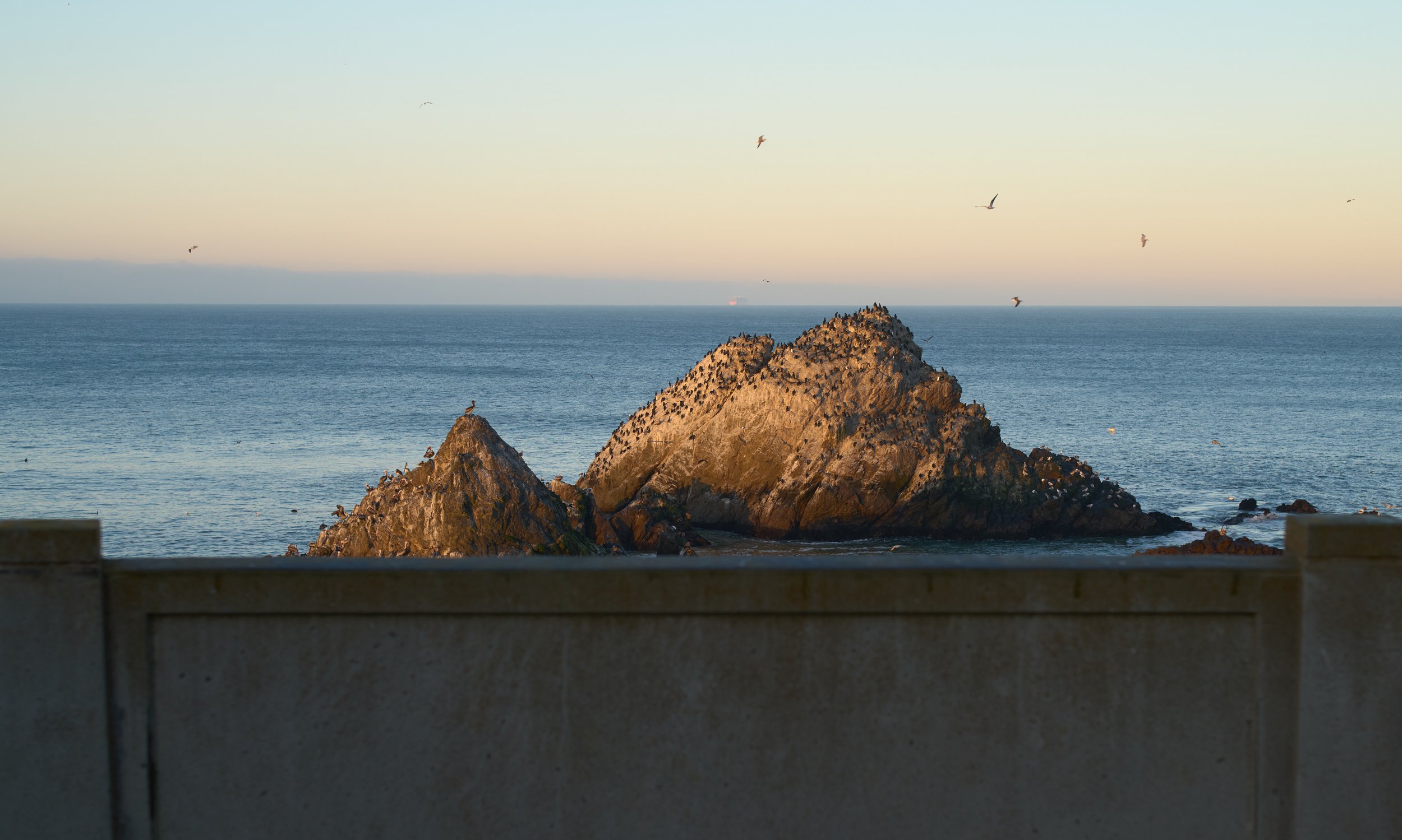L1009253.jpg