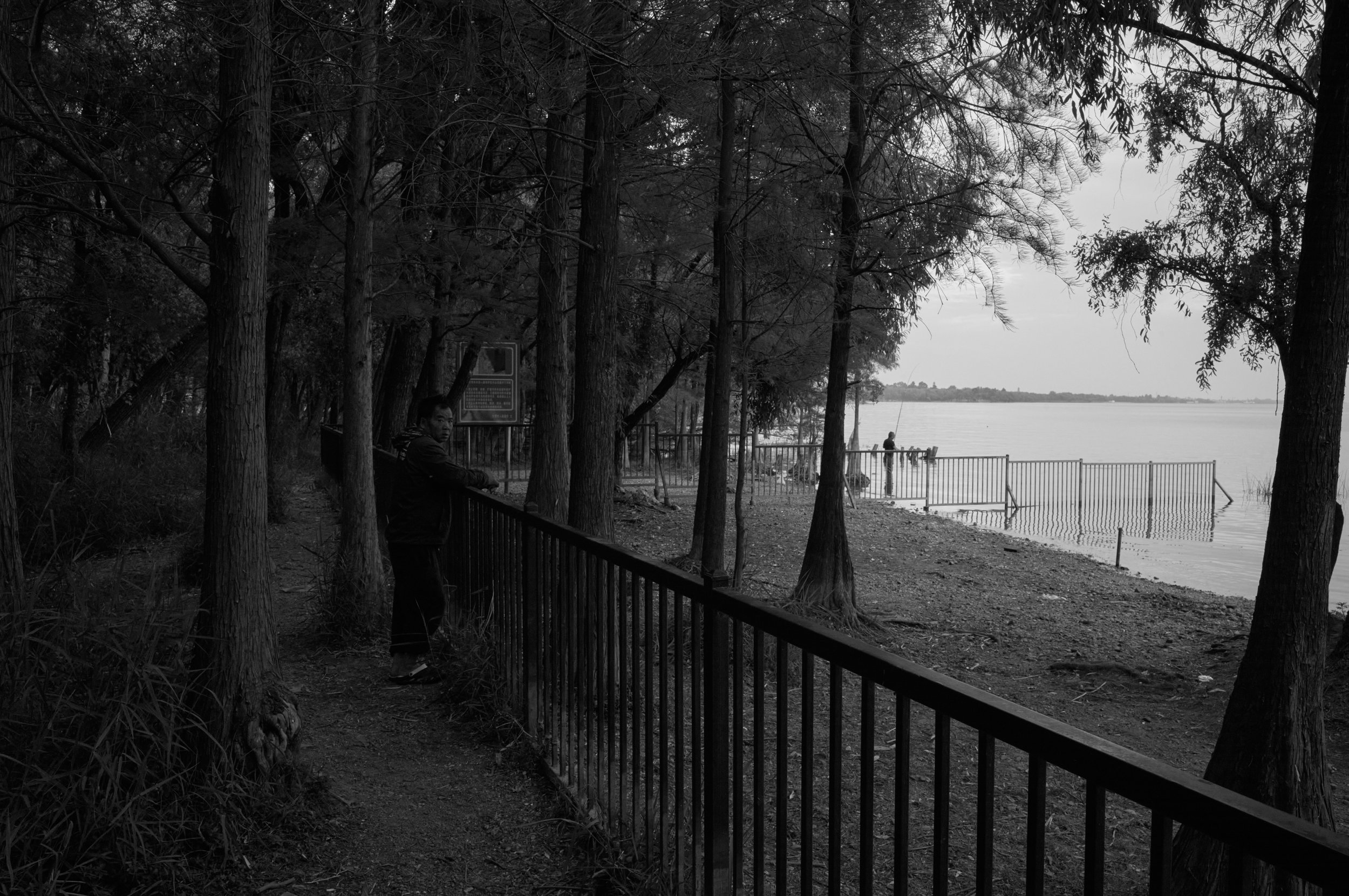 L1003210.jpg