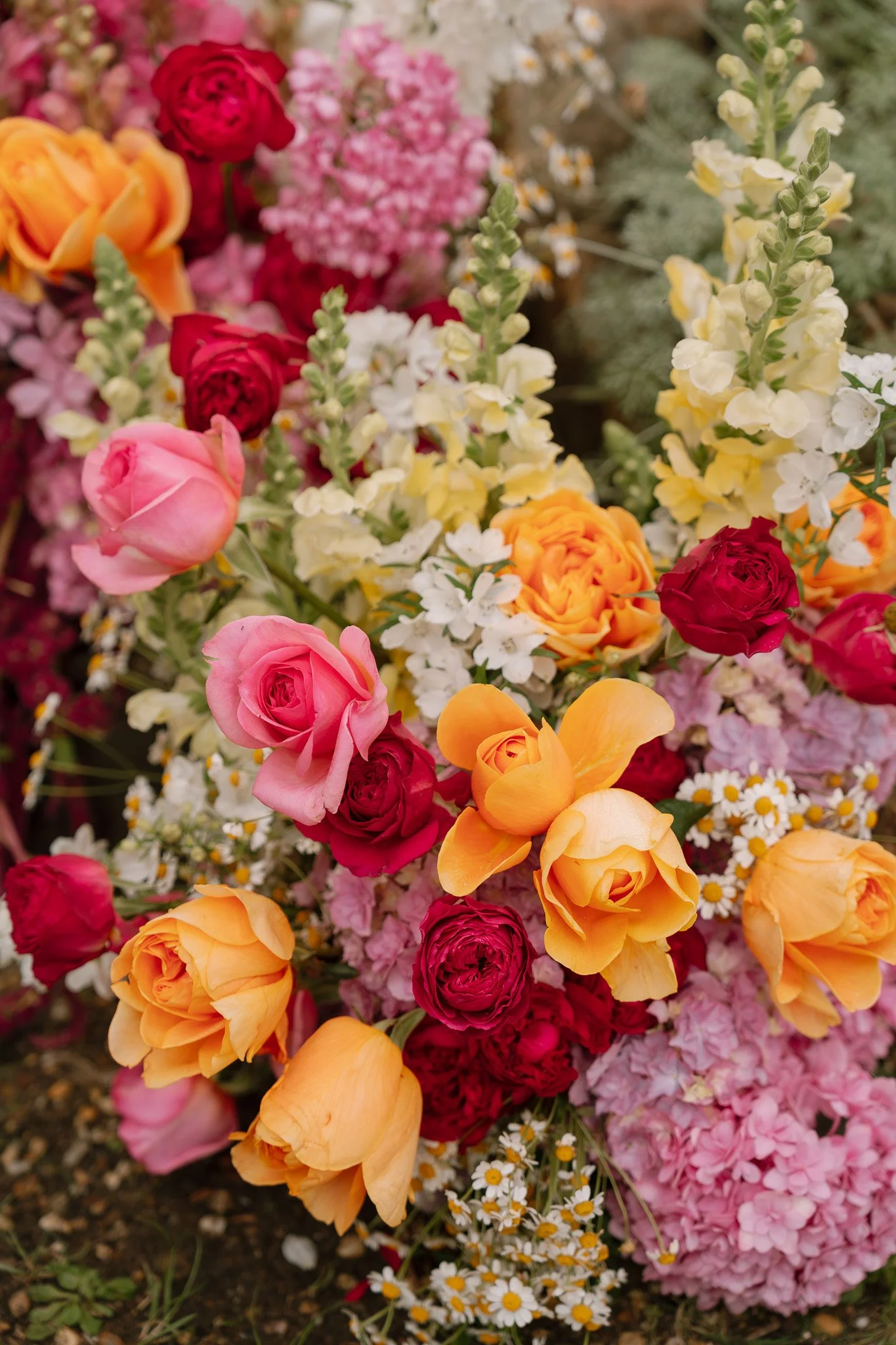 A vibrant flower garden with pink, red, orange roses, white daisies, and light yellow flowers.