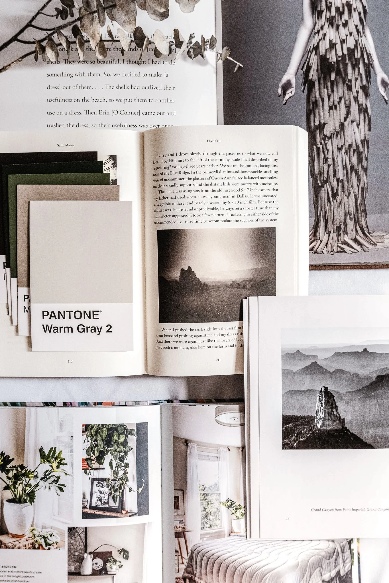 Collection of open books with images and a Pantone color swatch, featuring interior design and nature photography, alongside a plant branch.