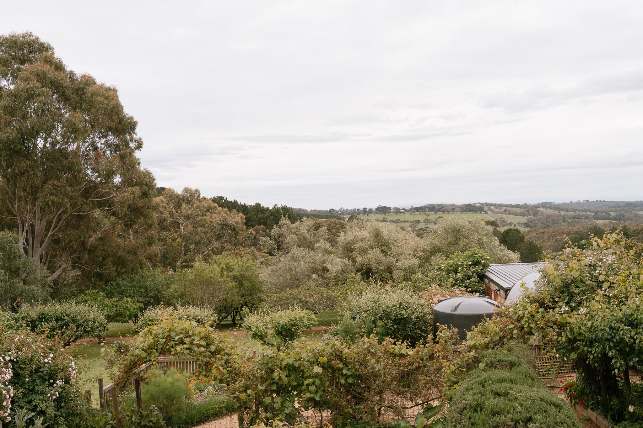 A lush countryside garden with various trees, shrubs, and plants, along with a water tank and a small building with a metal roof, set against rolling hills and a cloudy sky.