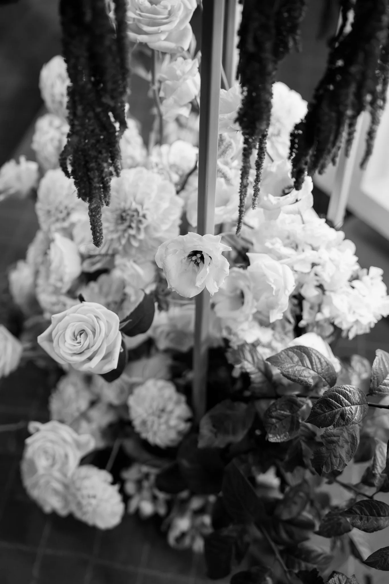 Black and white photo of mixed flower arrangement with roses, hydrangeas, and hanging amaranthus.