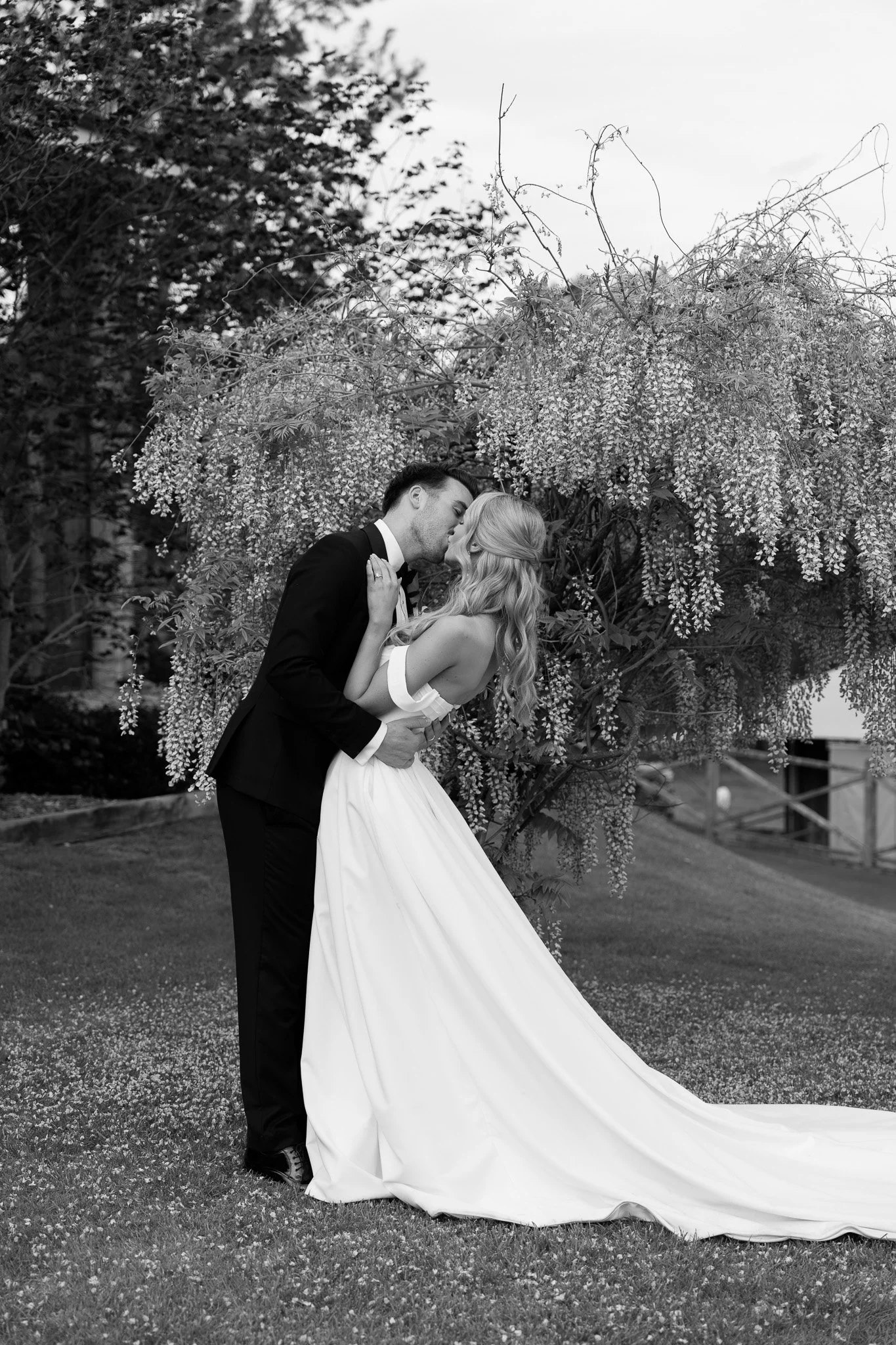 A black and white photo of a bride and groom kissing outdoors, standing on grass in front of a flowering tree.