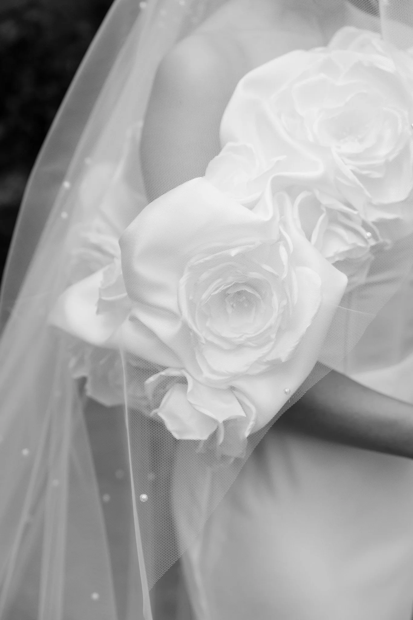 Black and white close-up of a bouquet of roses wrapped in a sheer veil.