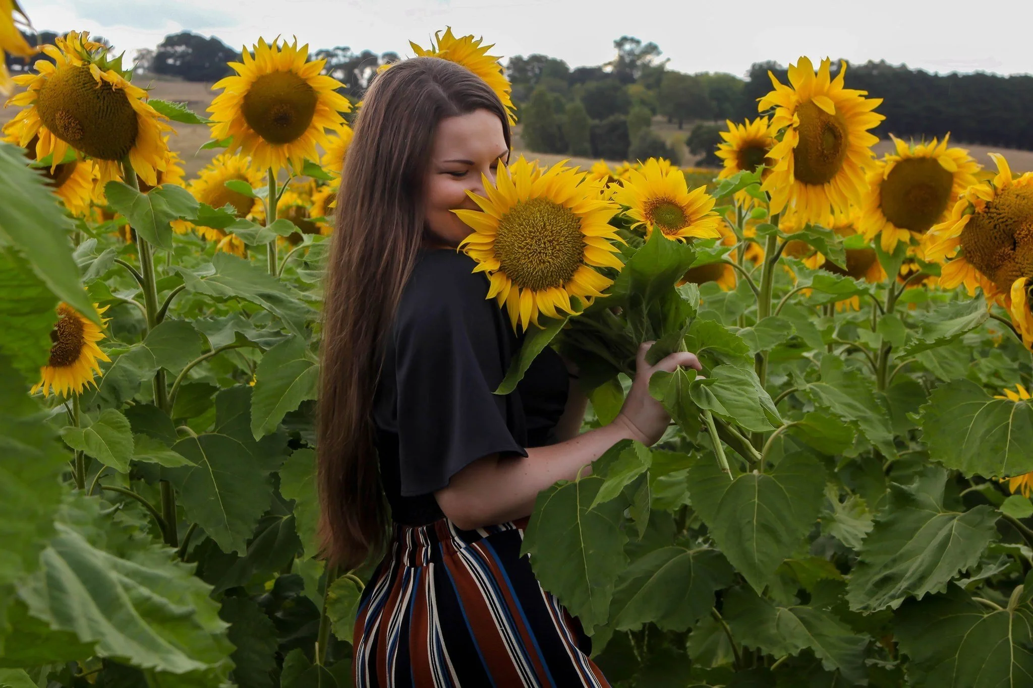 A young woman with long brown hair holds a sunflower close to her face and smiles with her eyes closed in a sunflower field. There are more sunflowers and trees in the background.