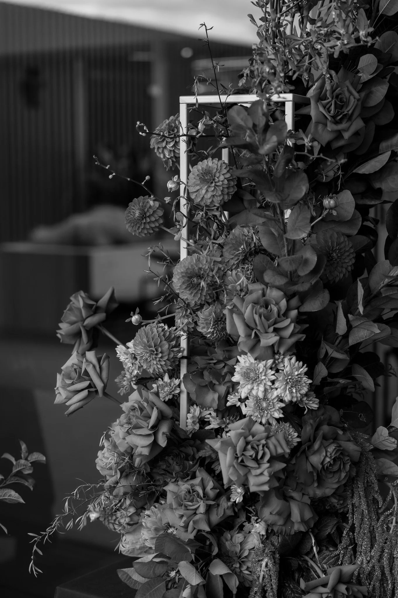A large floral arrangement with roses and dahlias, some wrapped in a white frame, surrounded by various leaves and smaller flowers.