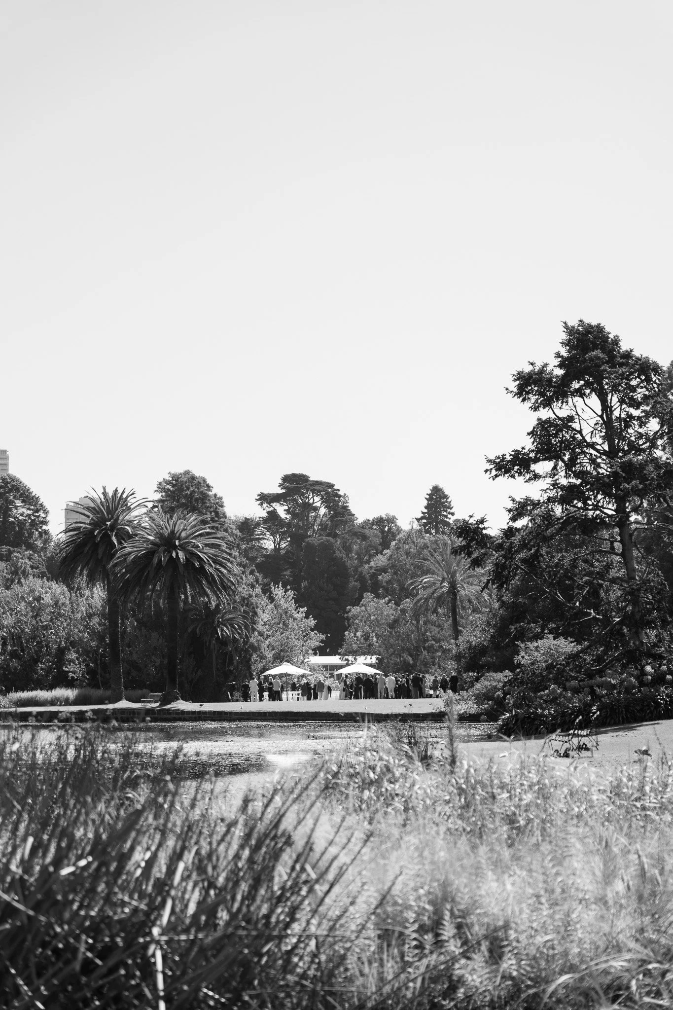 A black and white photo of a park with water, trees, and a group of people gathered under umbrellas.