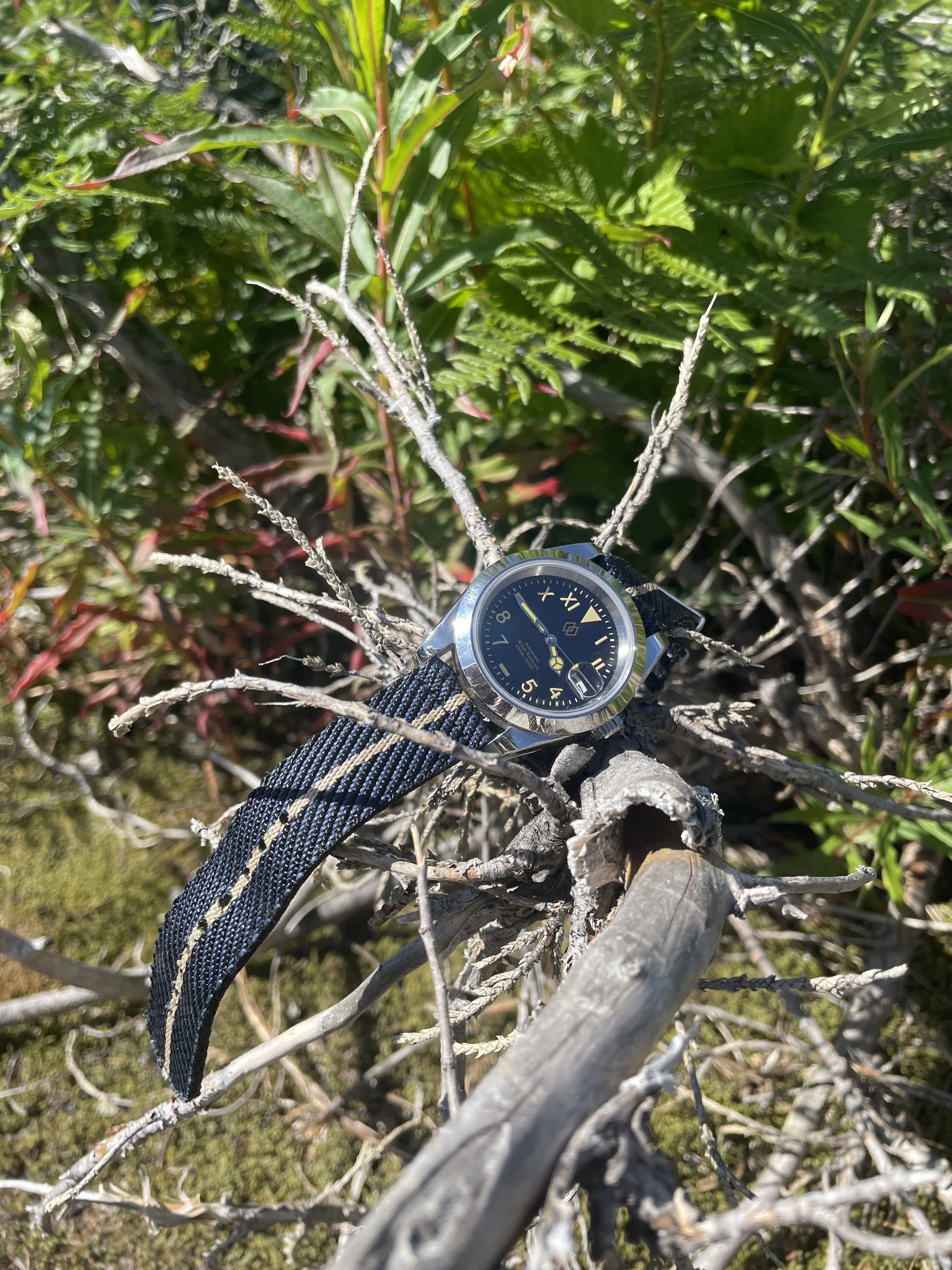 A wristwatch with a black strap resting on a tree branch among green leaves and twigs.