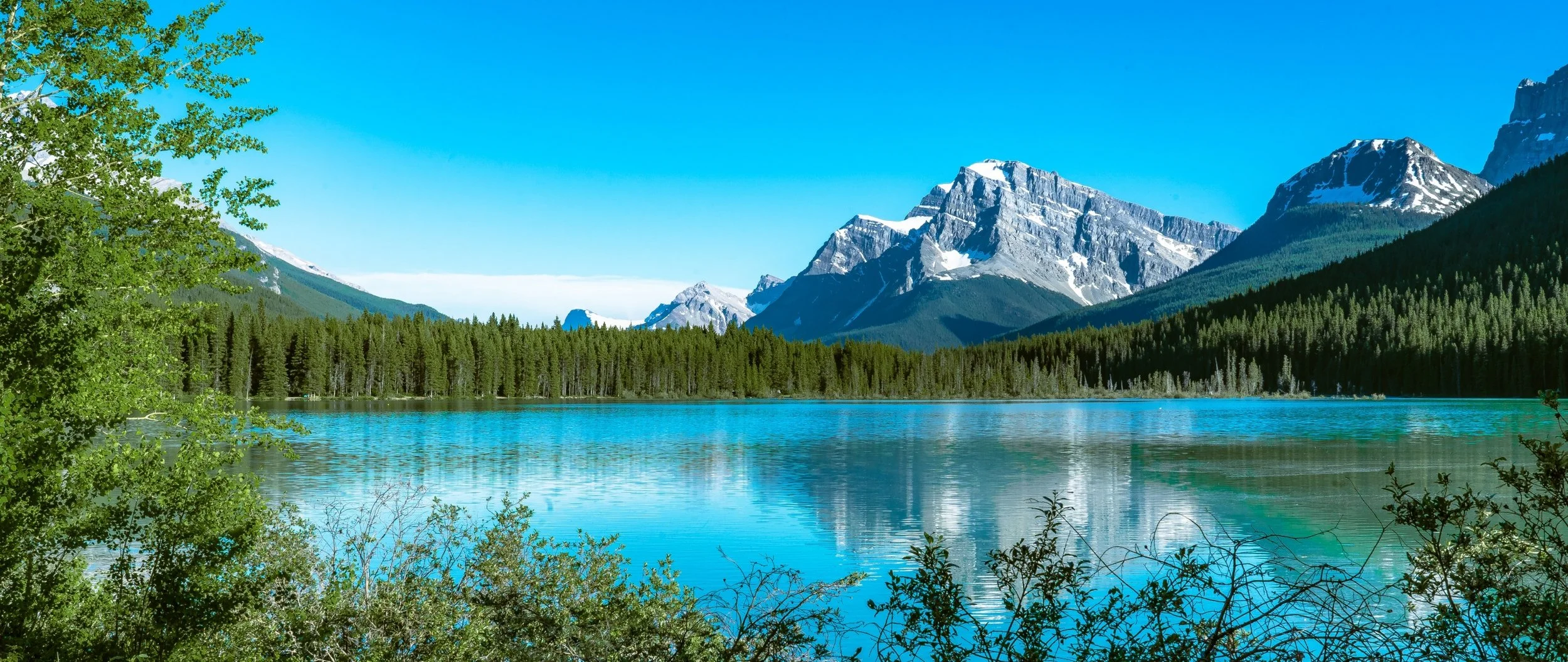 Scenic view of a mountain lake with turquoise water, surrounded by lush green trees and snow-capped mountains in the background under a clear blue sky.