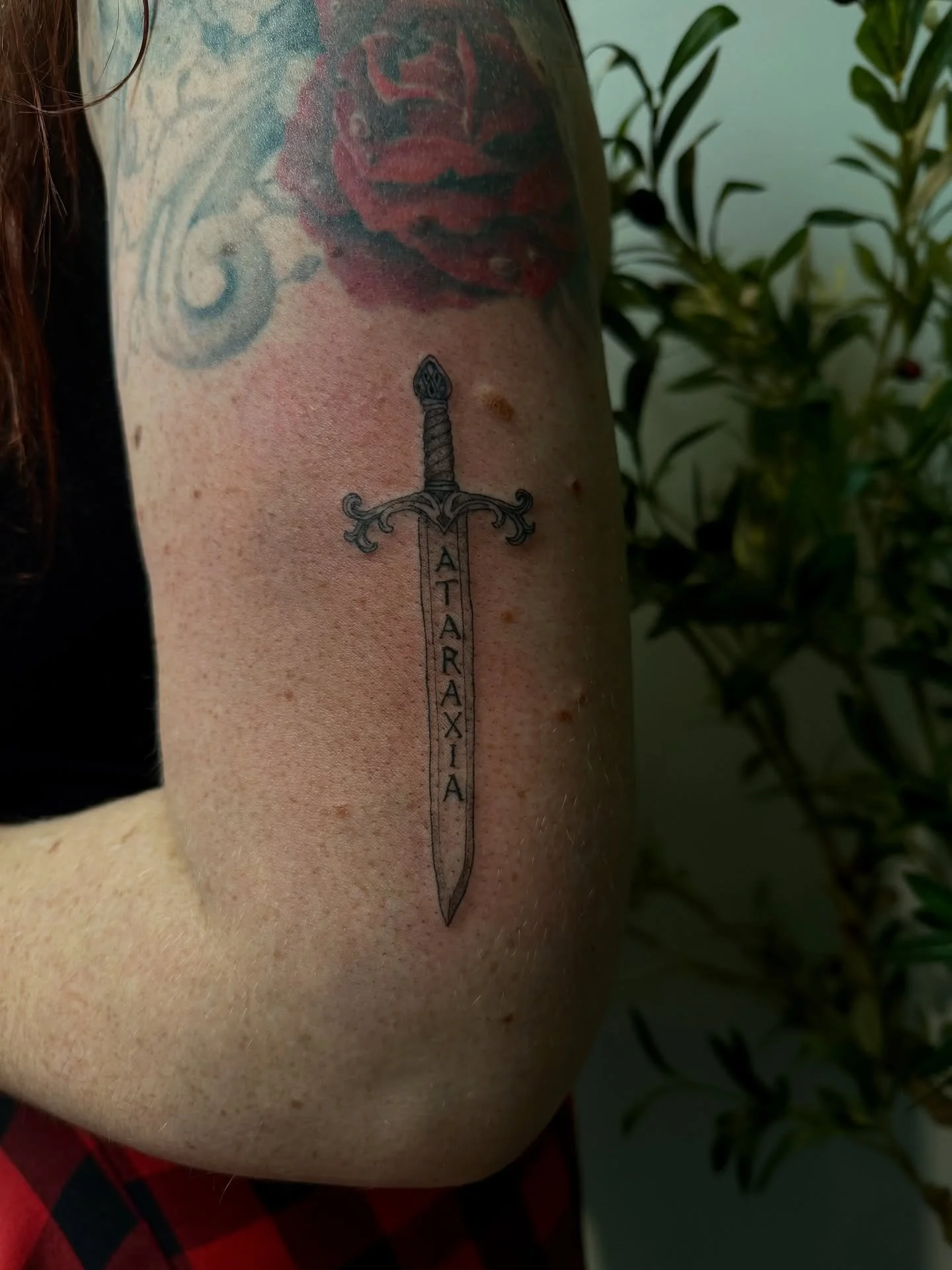 🗡️
