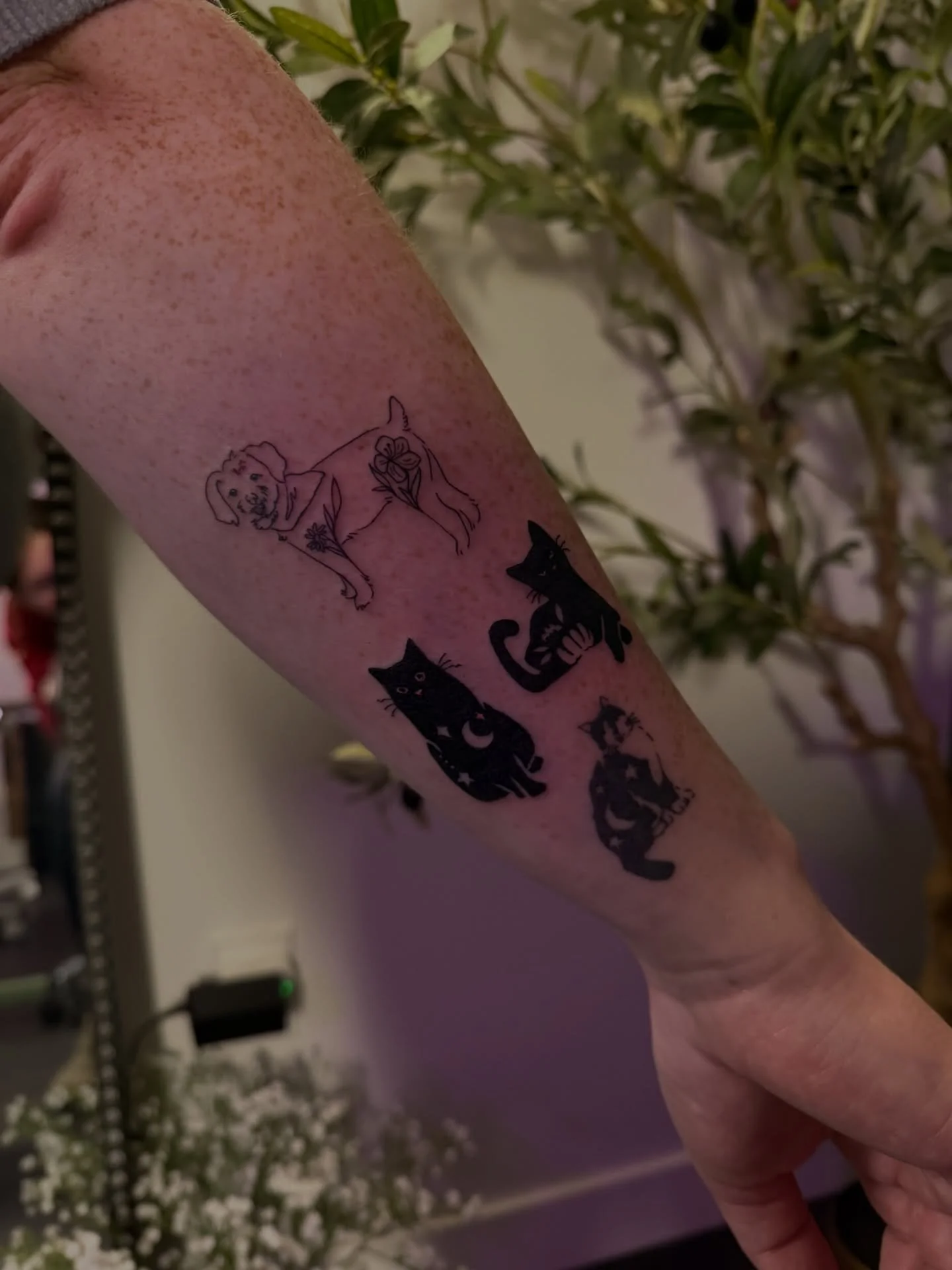 More custom pets to add next to my flash!