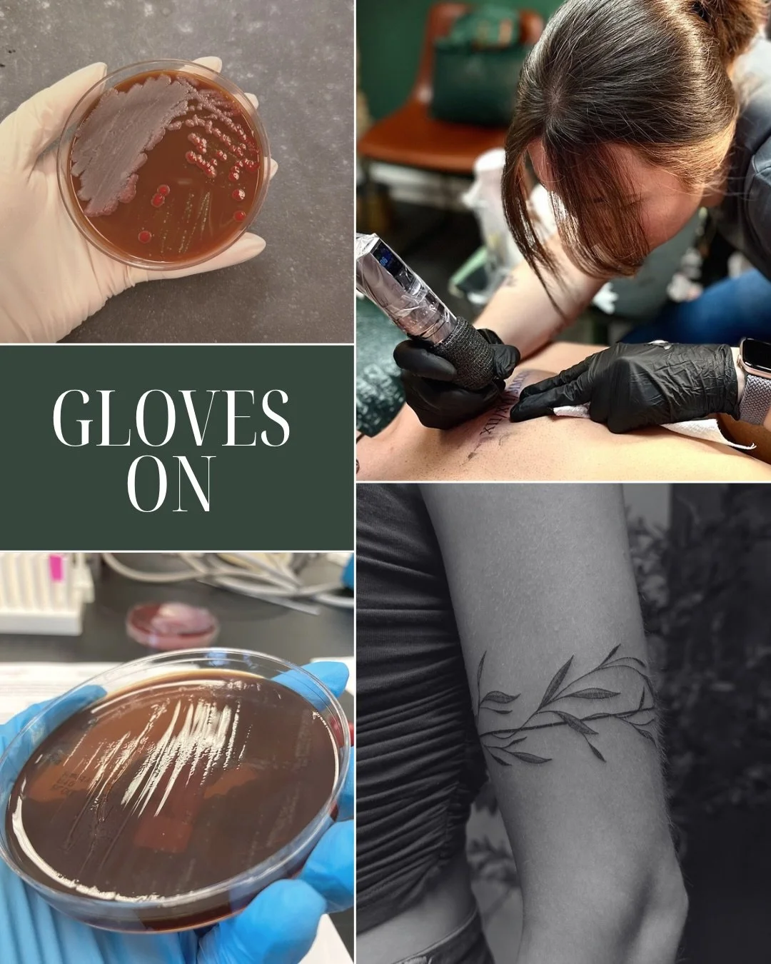 Gloves on vs gloves off ✨ 
A little glimpse into my life as a microbiologist, tattoo artist, girlfriend, cat mom, and friend 💕