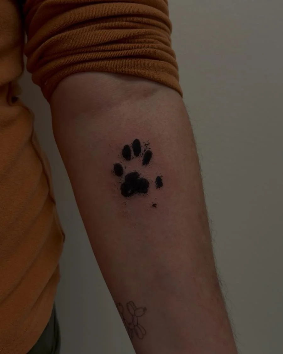 This kitty was super special, she had 5 toes! Thank you for trusting me yet again Beth!
(Peep the healed balloon dog)