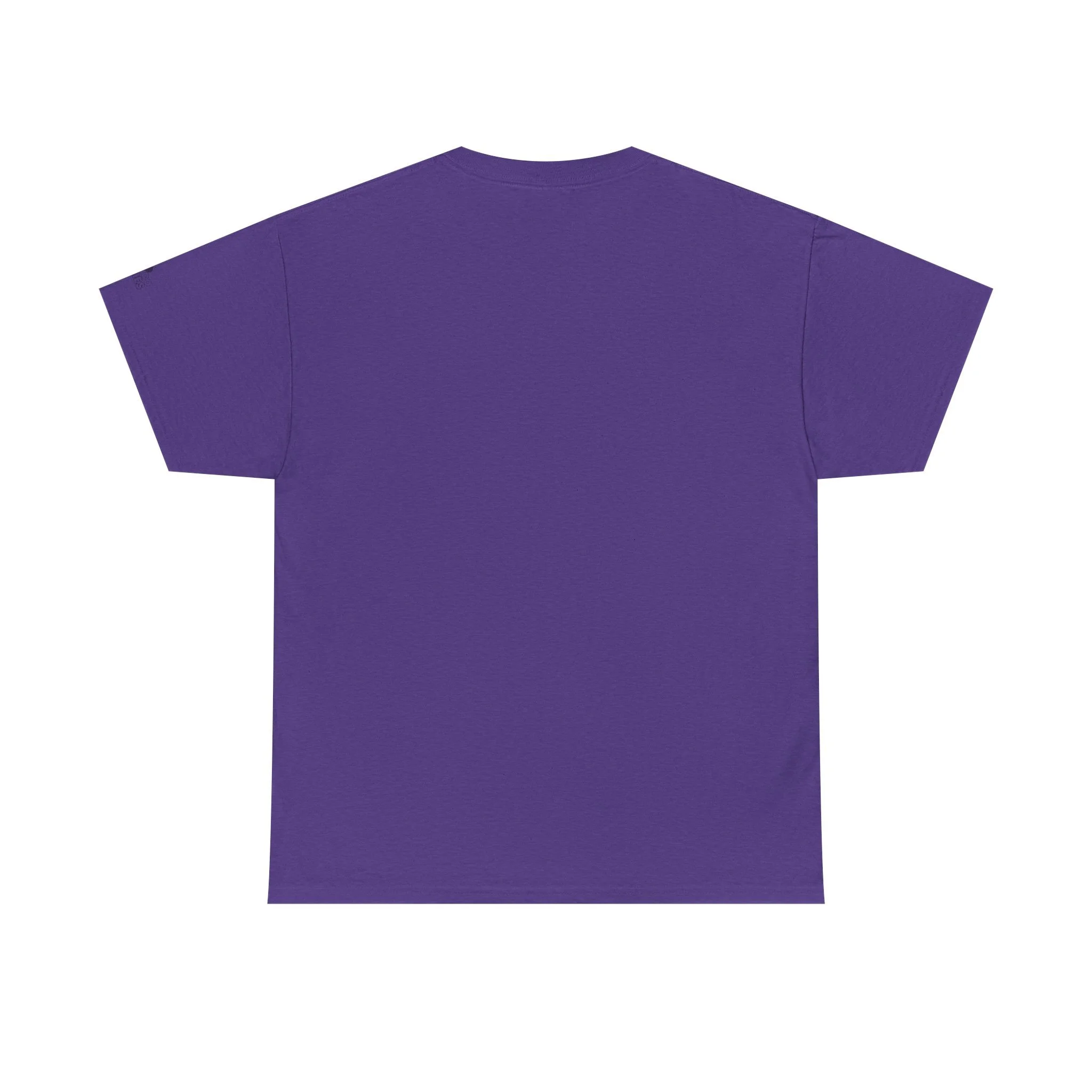 Amber Amazingpuff Adult Graphic T-Shirt by COCO PIXIES featuring a whimsical Black pixie with afro puffs, purple wings, and layered purple dress.