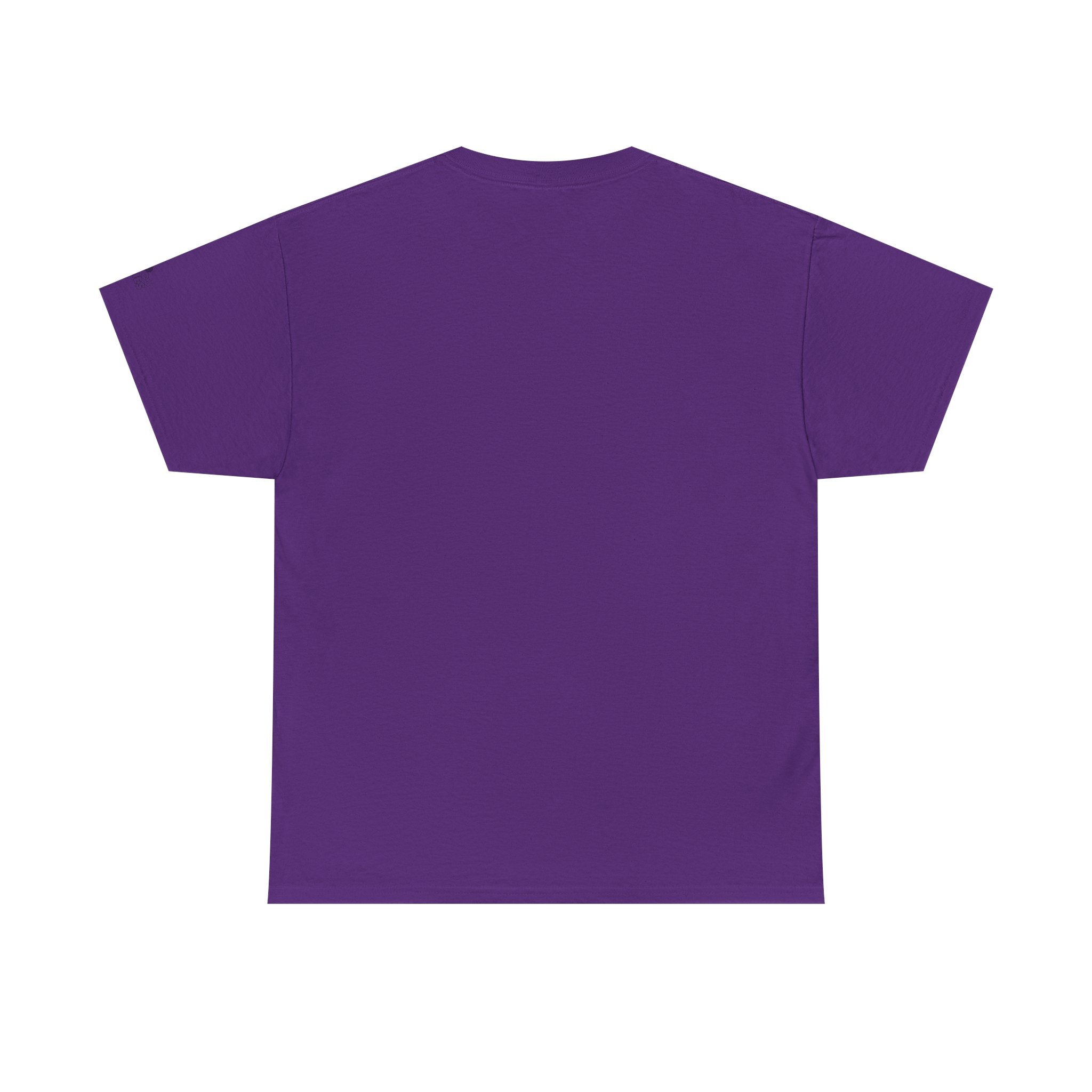 Amber Amazingpuff Adult Graphic T-Shirt by COCO PIXIES featuring a whimsical Black pixie with afro puffs, purple wings, and layered purple dress.
