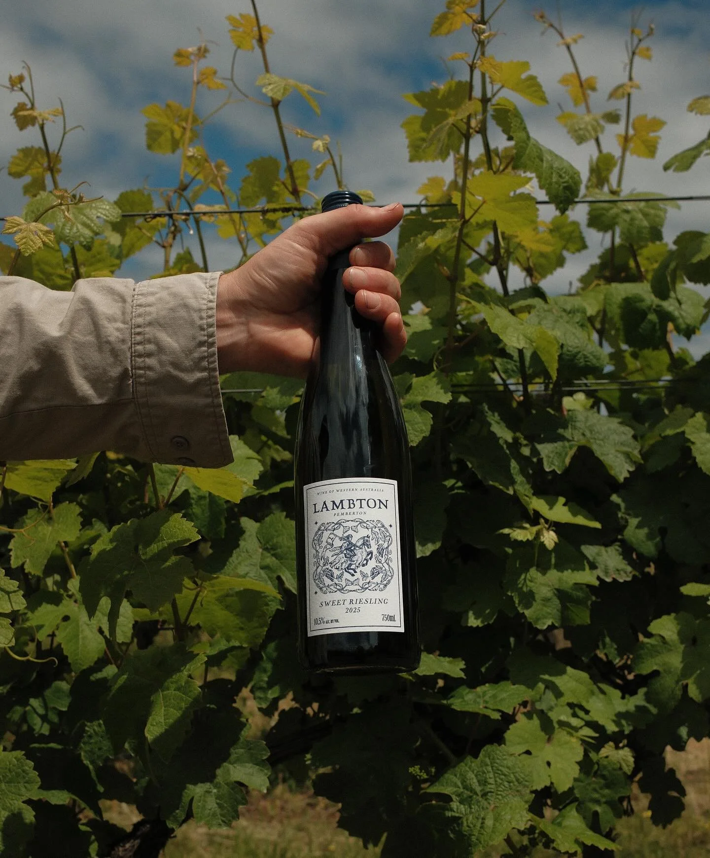 A Riesling in the Riesling!

Also our online shop is live! Visit www.lambtonwine.com to buy soda or wine cases. If you&rsquo;re after single bottles, see our stockists 🍇

Link in bio