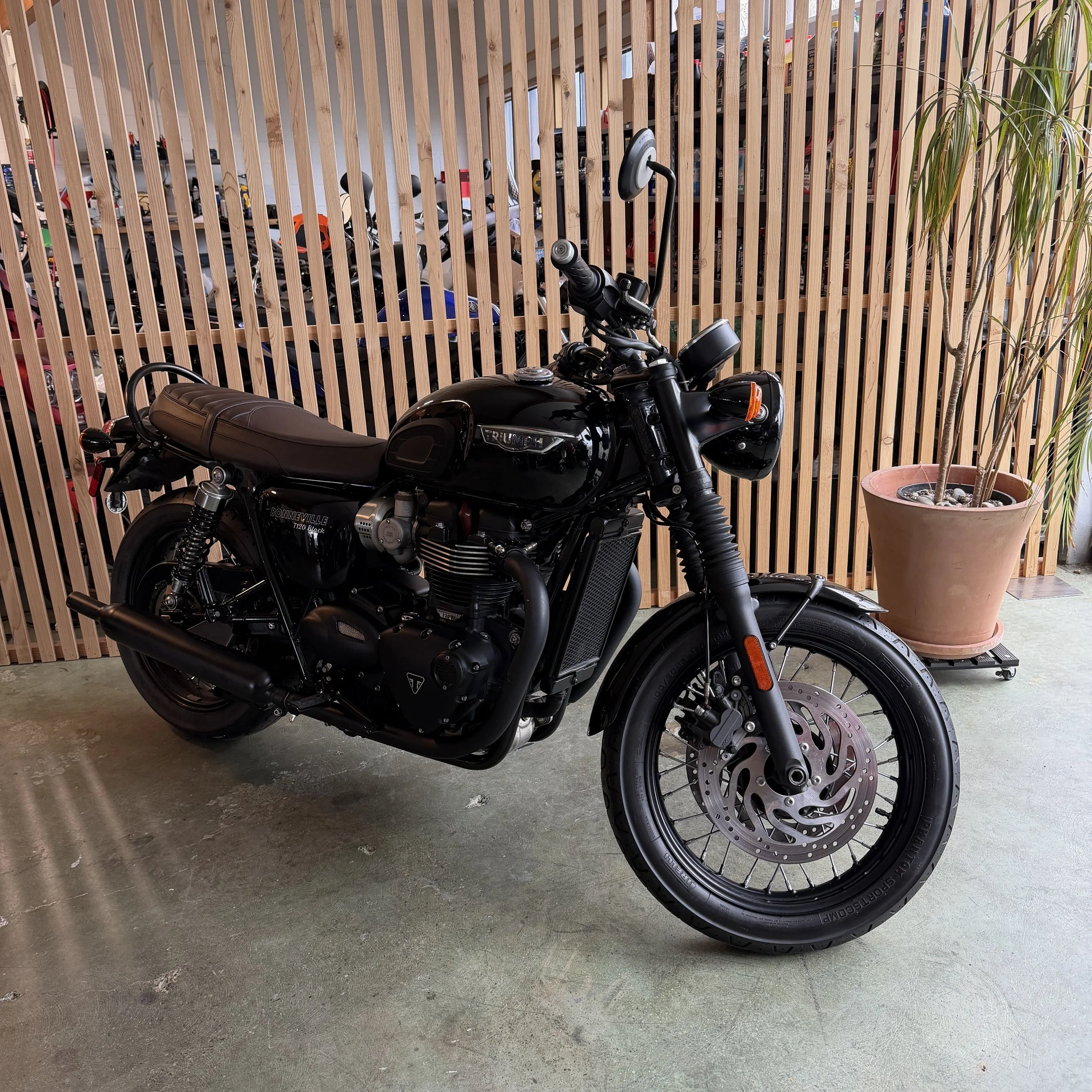 2016 TRIUMPH T120