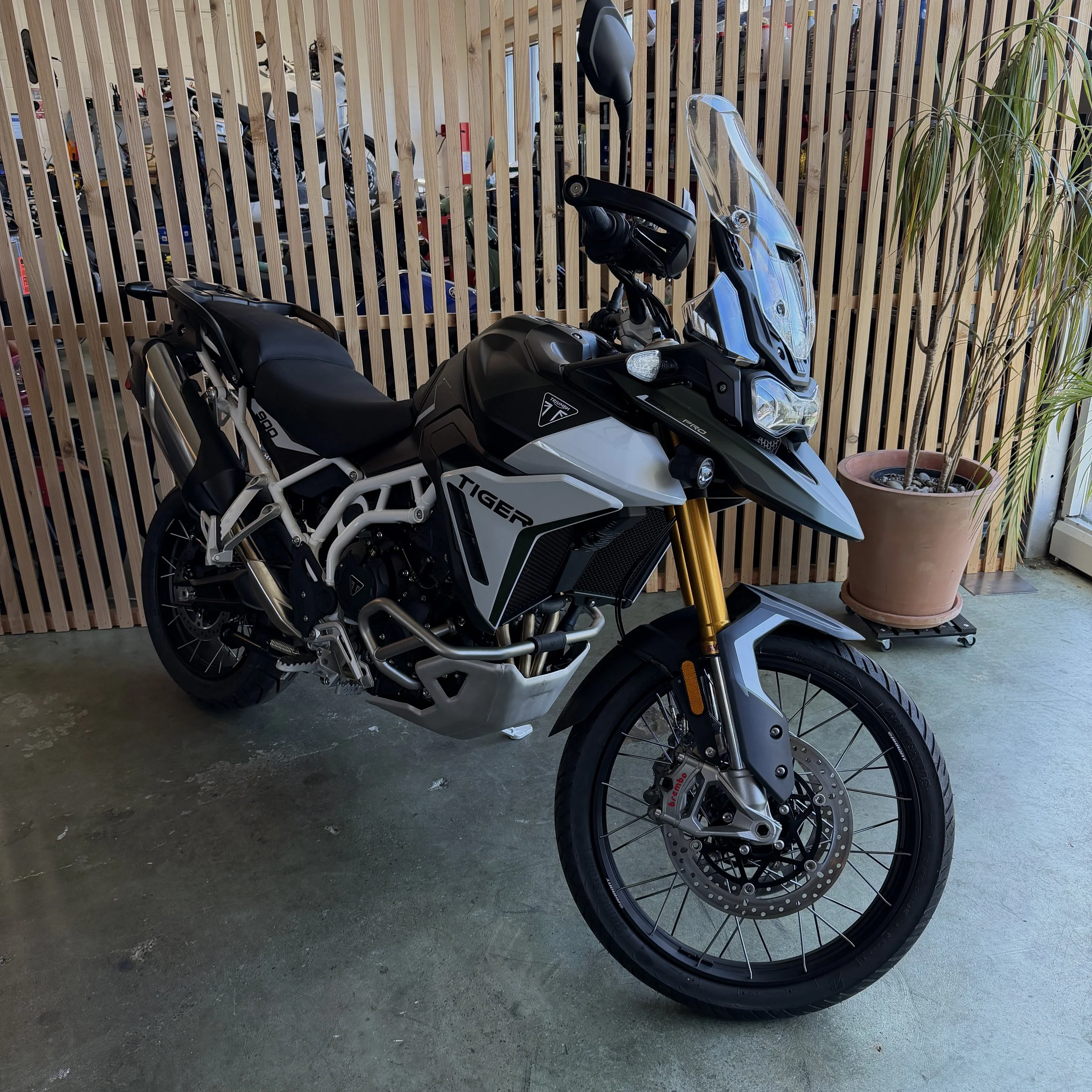 2025 TRIUMPH TIGER 900 RALLY PRO