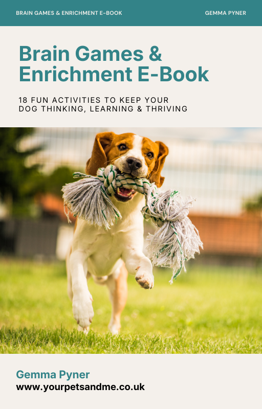 Brain Games & Enrichment E-Book