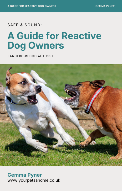 A Guide for Reactive Dog Owners