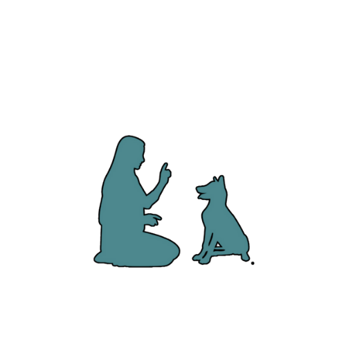 Your Pets &amp; Me