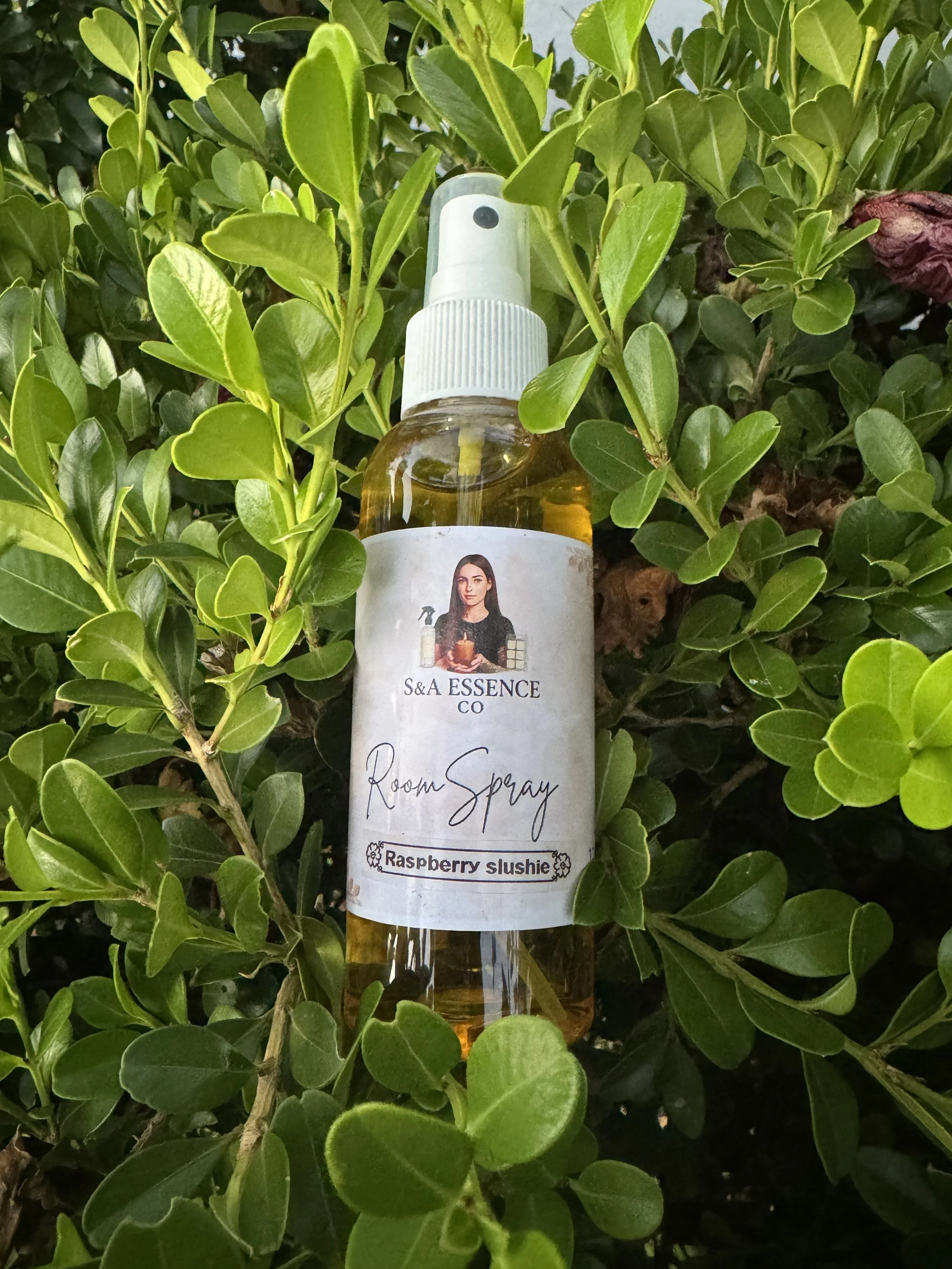 A spray bottle labeled 'Room Spray' with a raspberry slushie scent, placed among green leaves and foliage.
