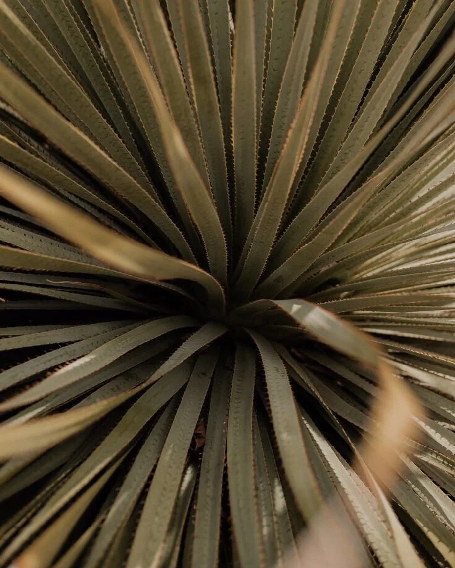 The kind of detail you notice only when life finally slows down enough.

Explore Homi Villas.

#HomiVillas #RealEstateInvestment #Lombok