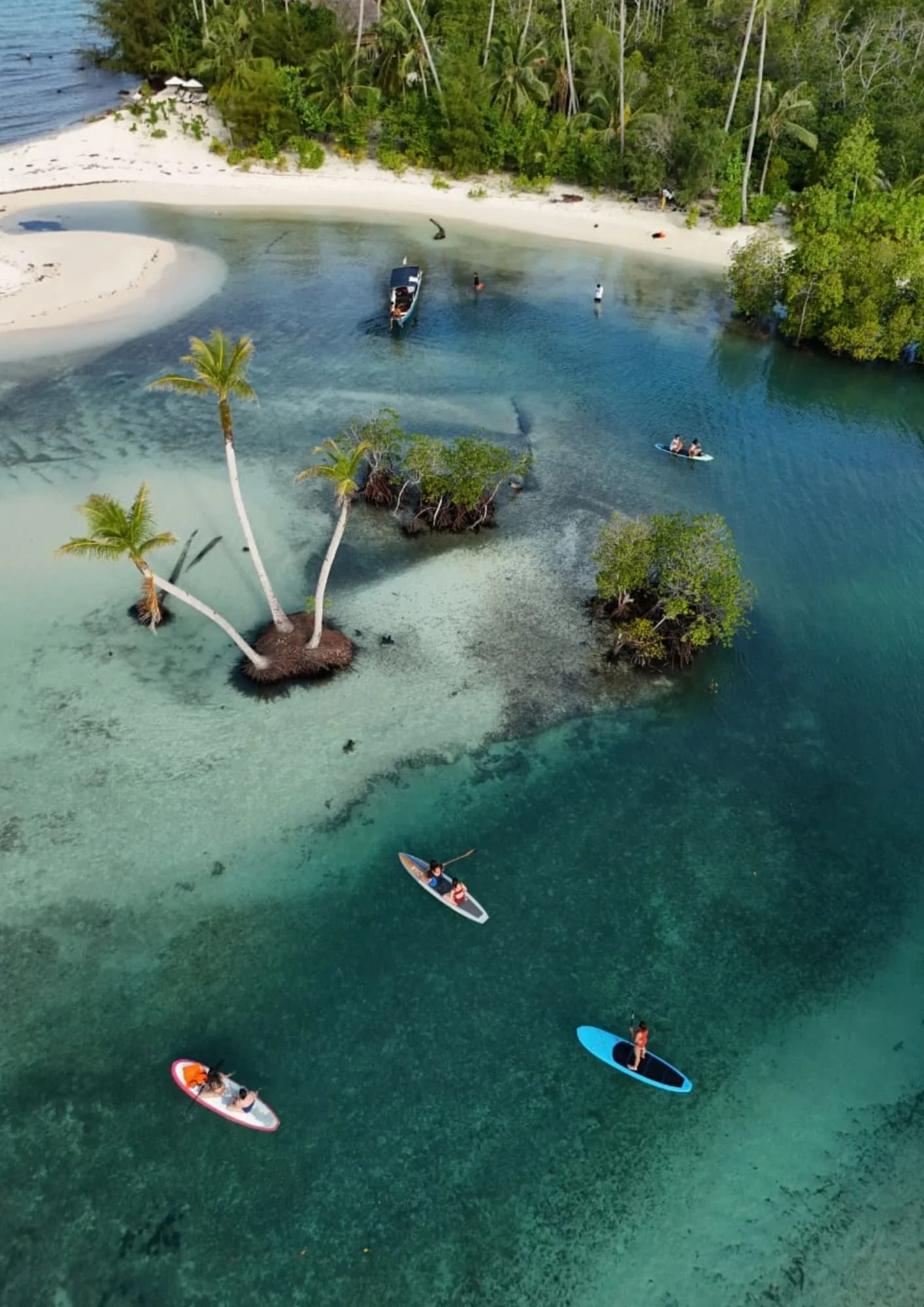 Sipora island and mangrove area