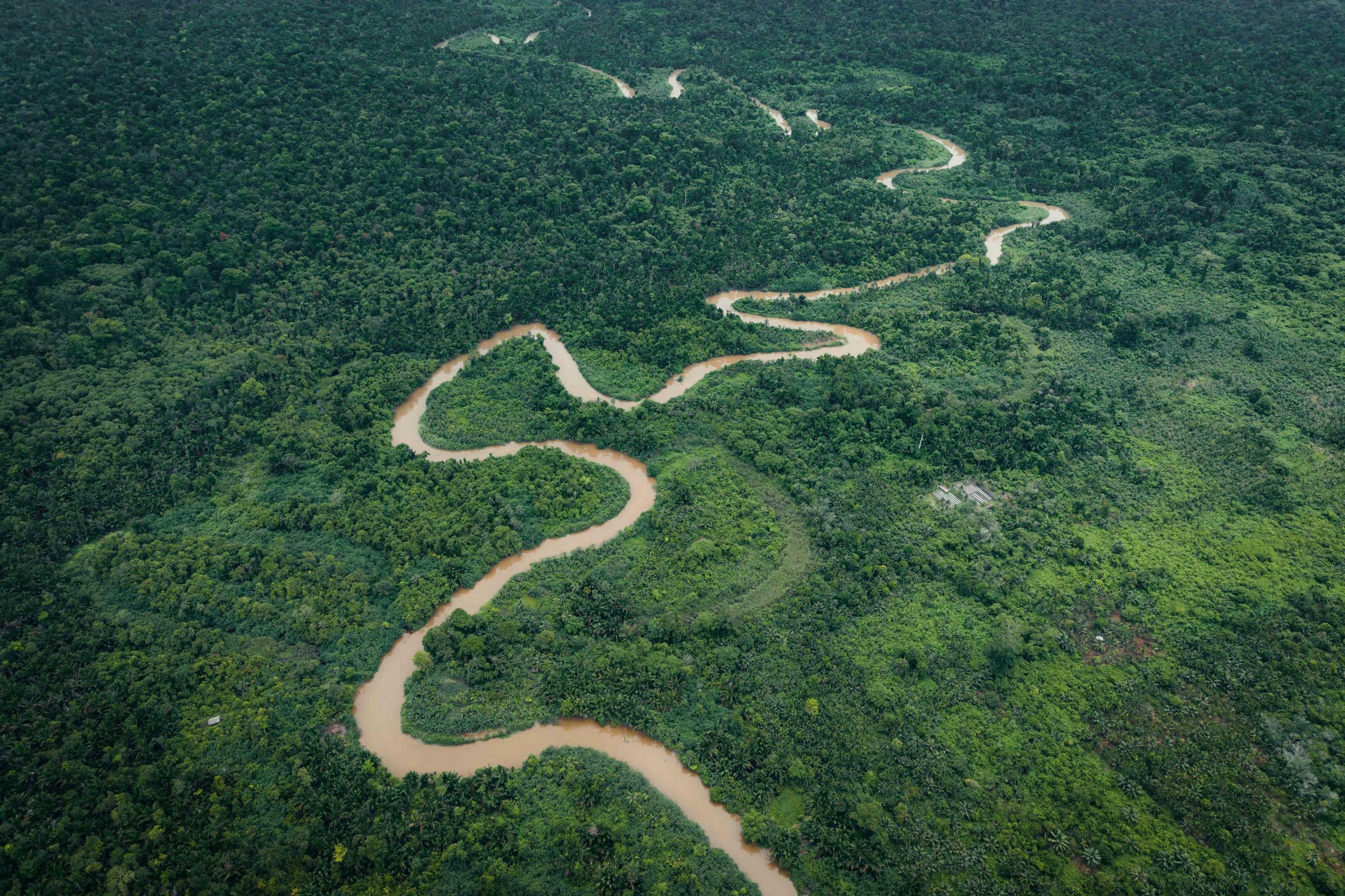 Aerial view of a winding river flowing through a dense green forest.