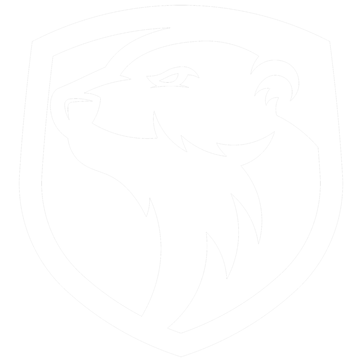 Lite Esports