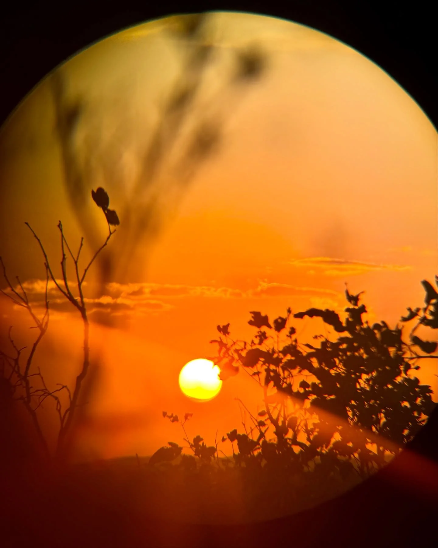 I&rsquo;ve been feeling so cold today&hellip; calling on warm memories 🌅 NT sunset, 2024