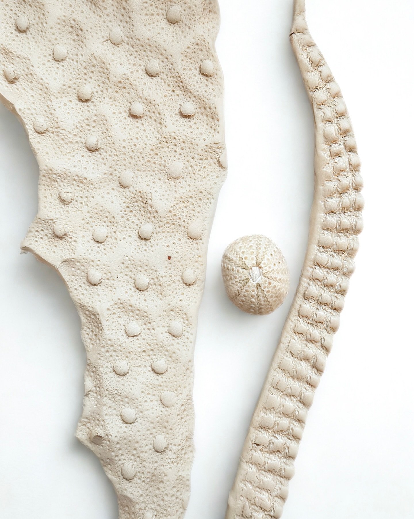 I&rsquo;ll be opening my studio to visitors this weekend as part of Australian Ceramics Open Studios. I&rsquo;d love to share the space and the work with you.
Saturday &amp; Sunday, 10am&ndash;4pm
98 Langridge Street, Collingwood &mdash; Level 1

Com