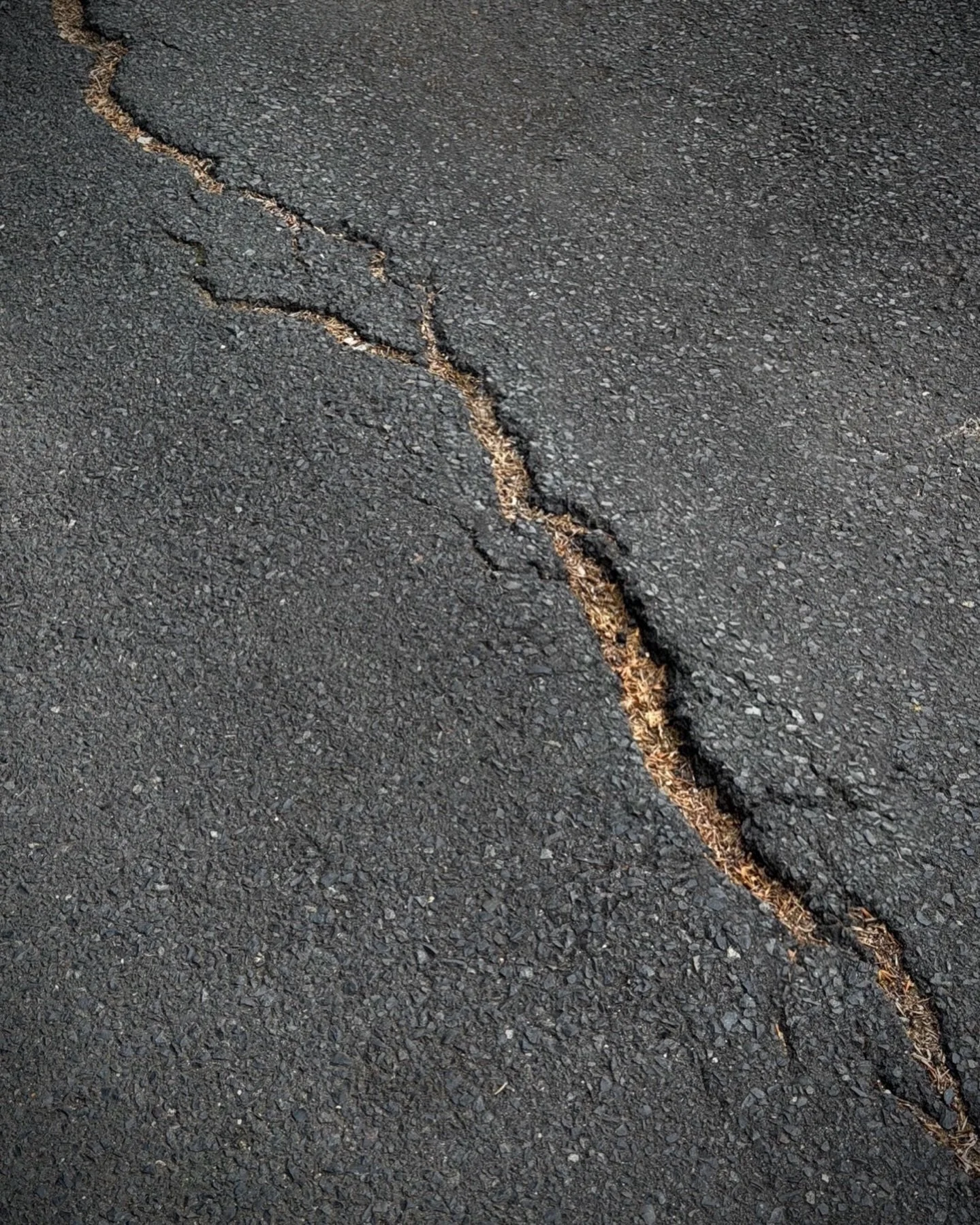 Surface
I&rsquo;ve been walking, paying attention to the places where the city gives way.