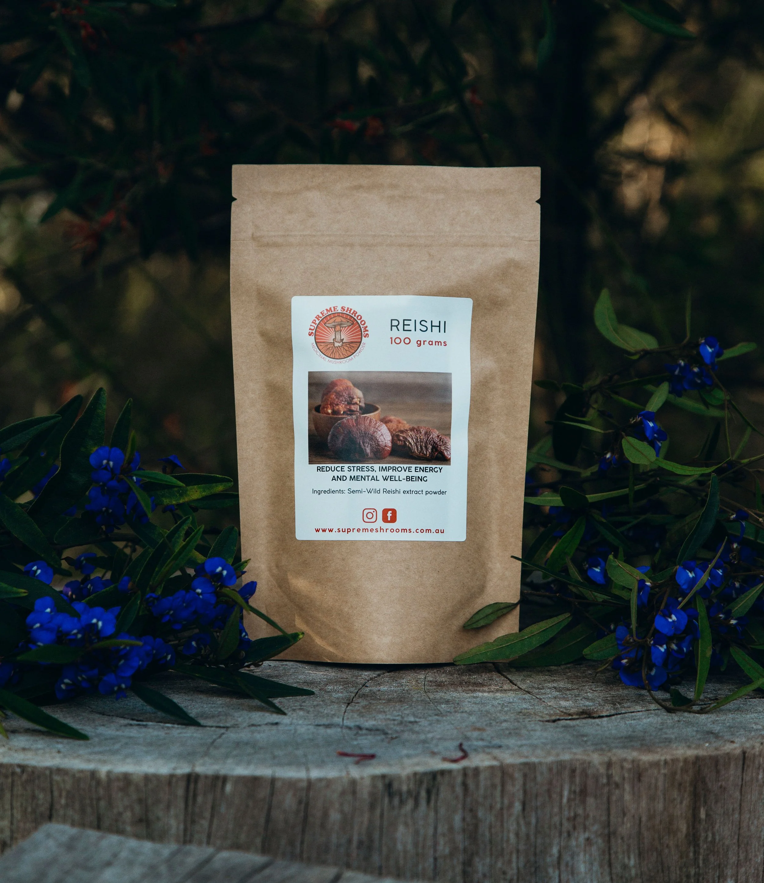 Lions Mane - 50g pouch