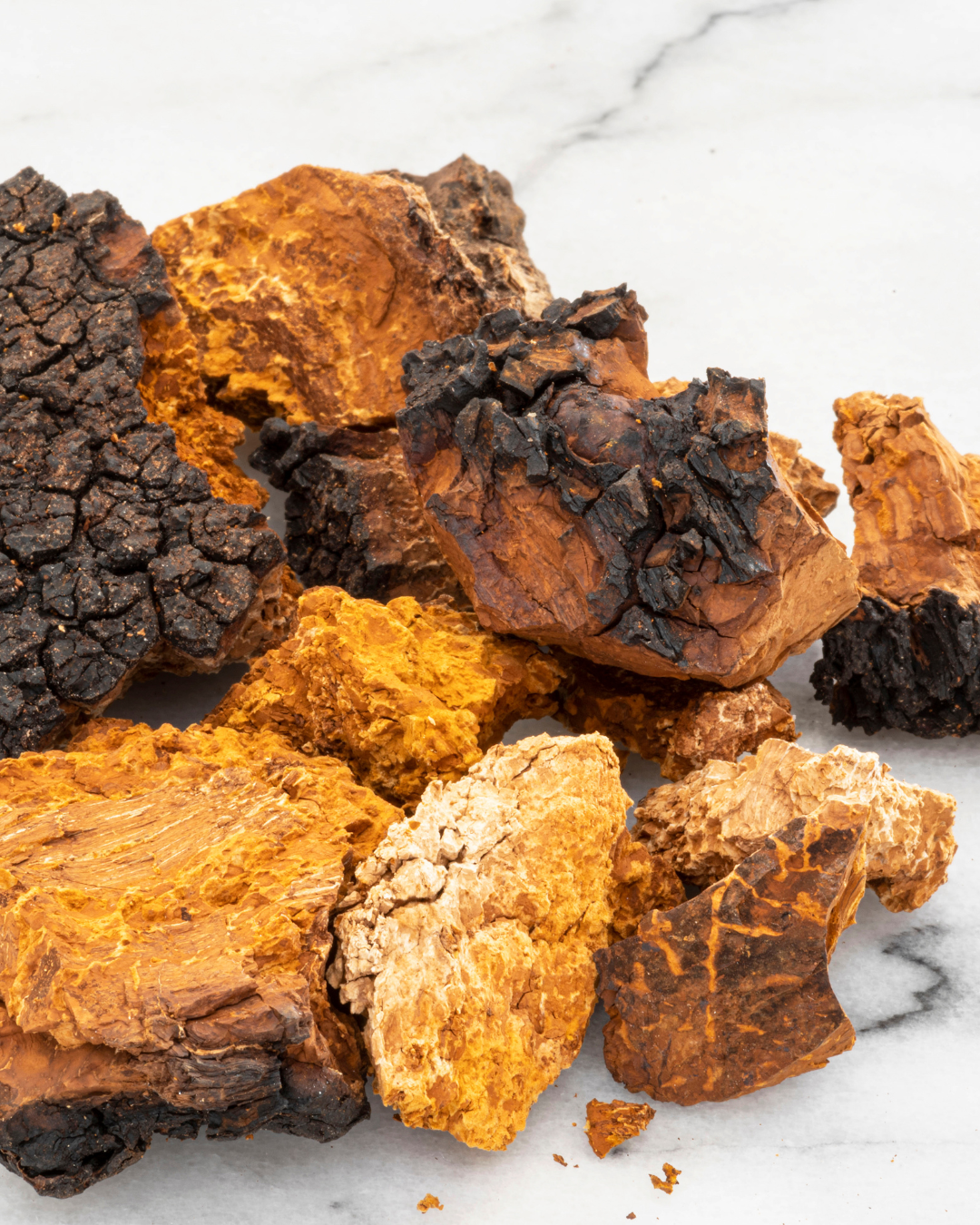 chaga.png