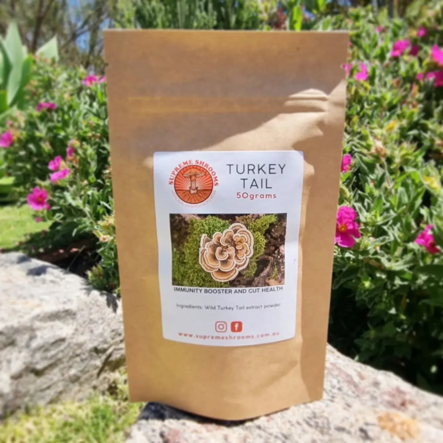 Turkey Tail - 50g pouch
