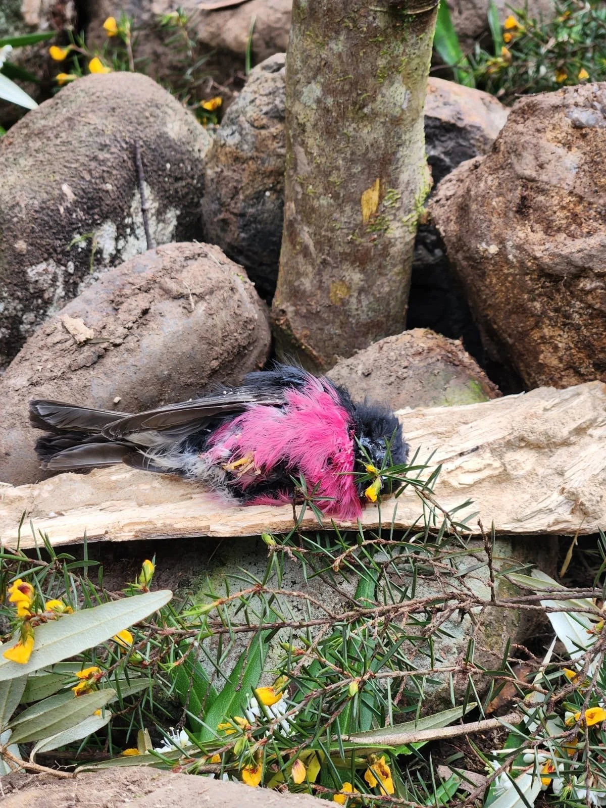 All The Time In The World