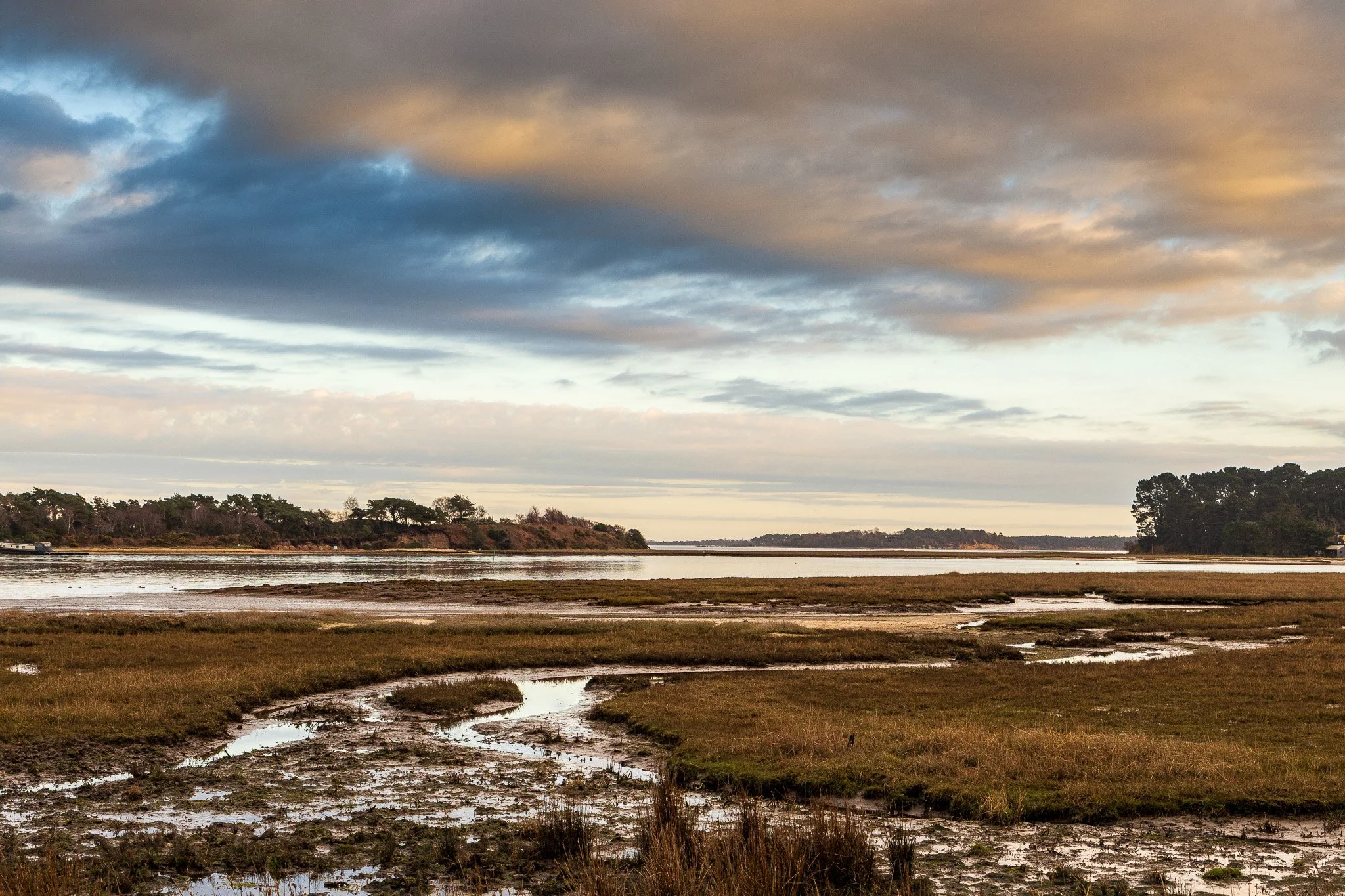 Autumn view from Arne looking towards Long Island across salt marshes and Poole Harbour