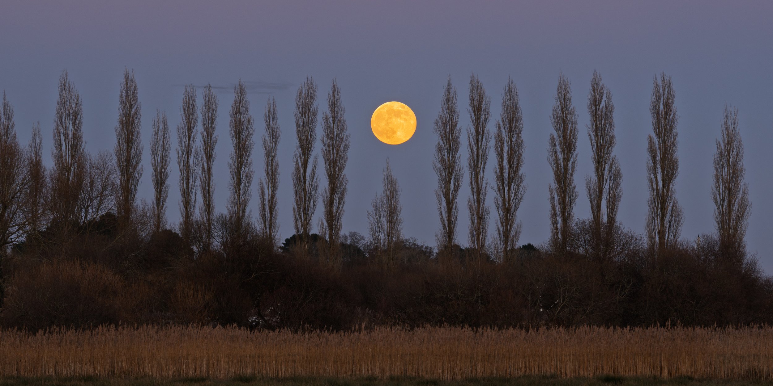 Wolf Moon over Wareham. Taken from the causeway between Wraeham and Stoborough looking towards the River Frome 