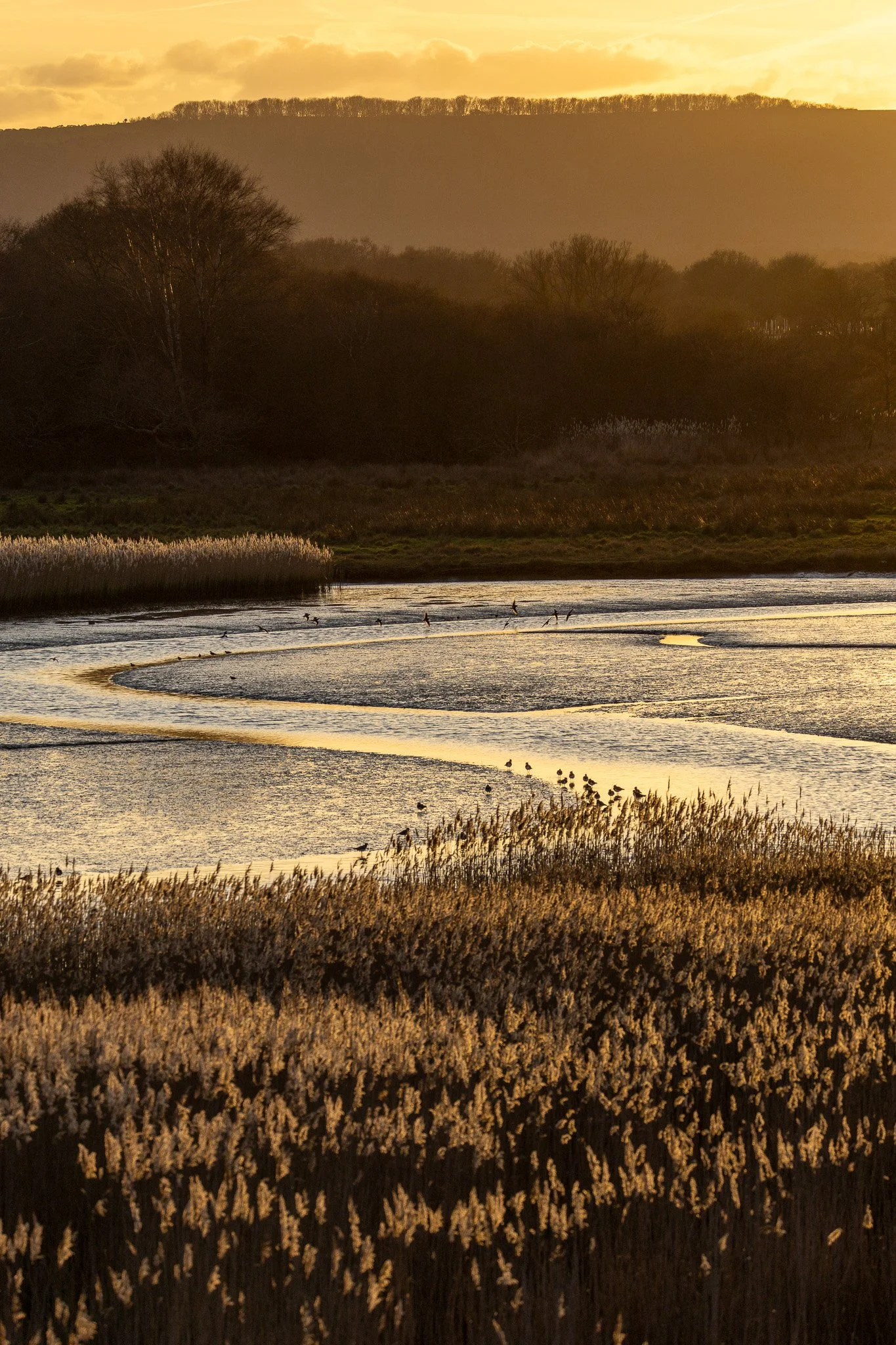 Wytch Channel Sunset 