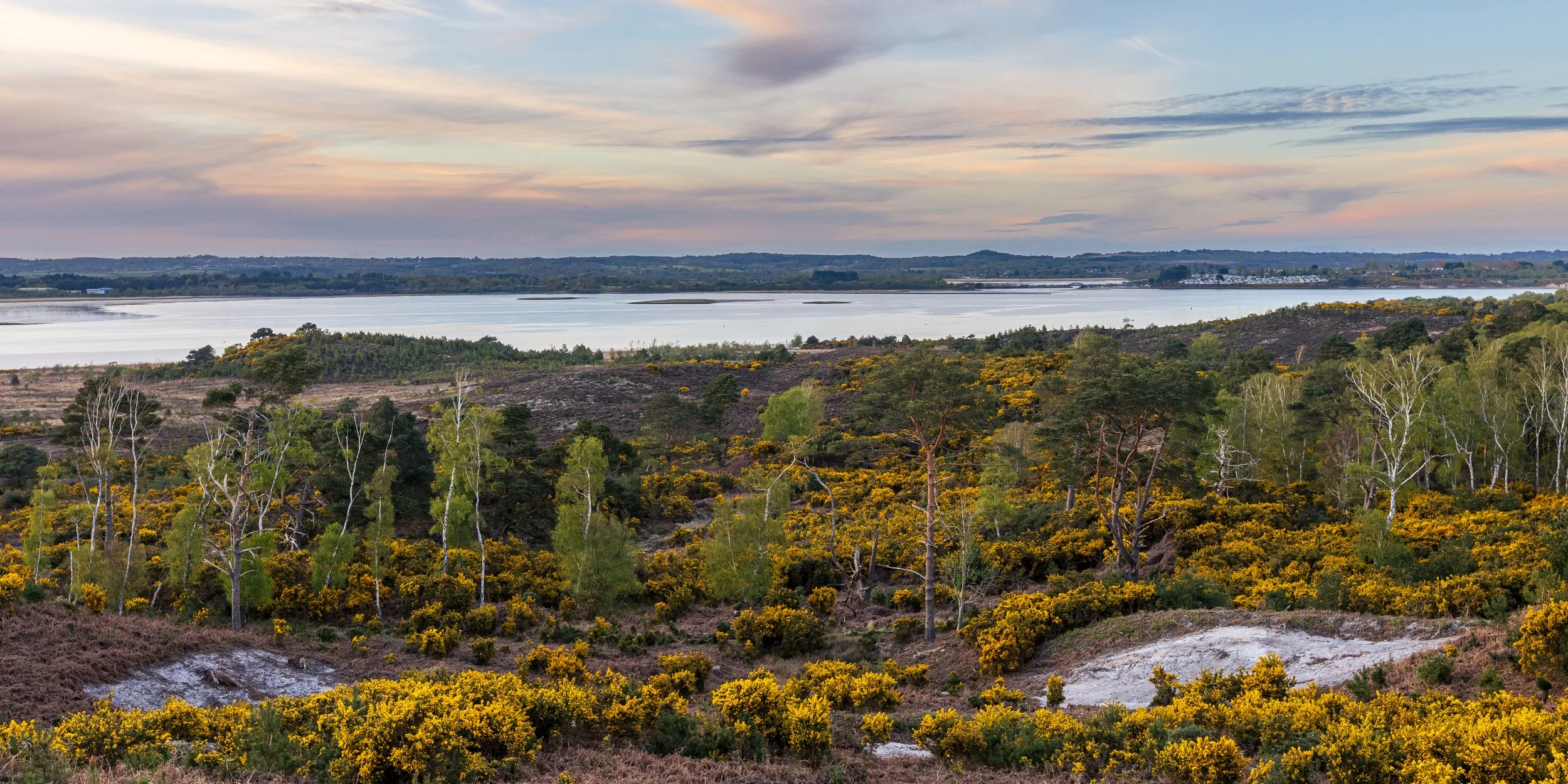 View across the Wareham Channel from Arne Hill - looking towards Hamworthy