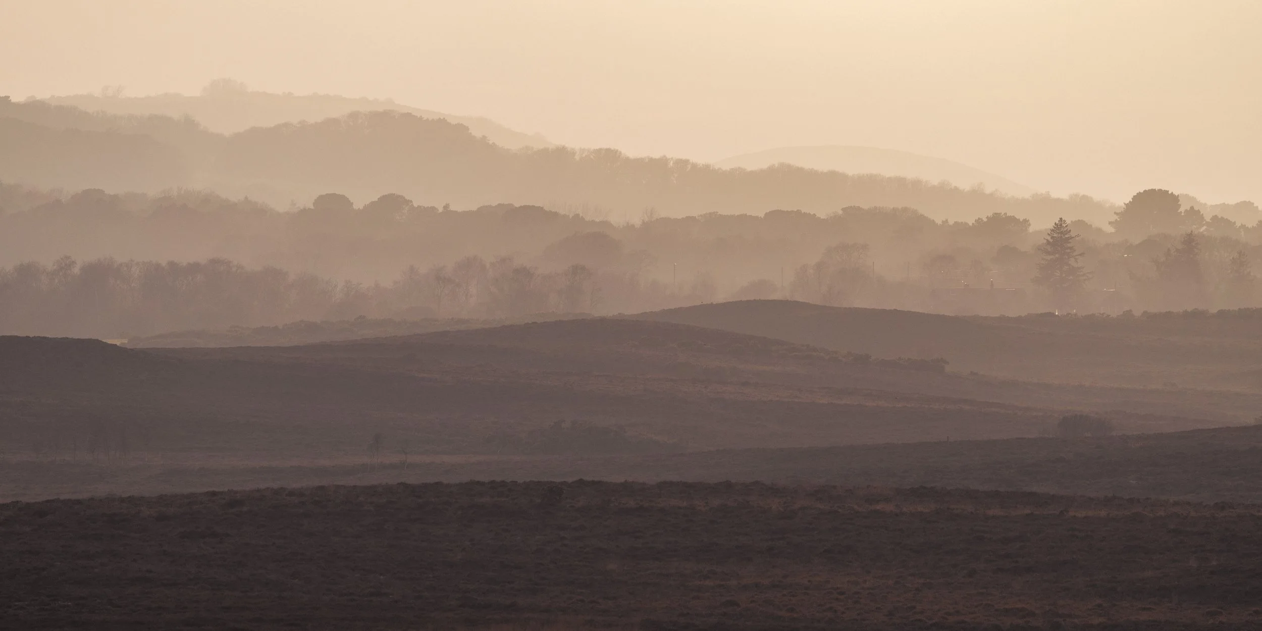 Winter layers across Middlebere and Hartland Heaths - Part of the Purbeck Heaths National Nature Reserve